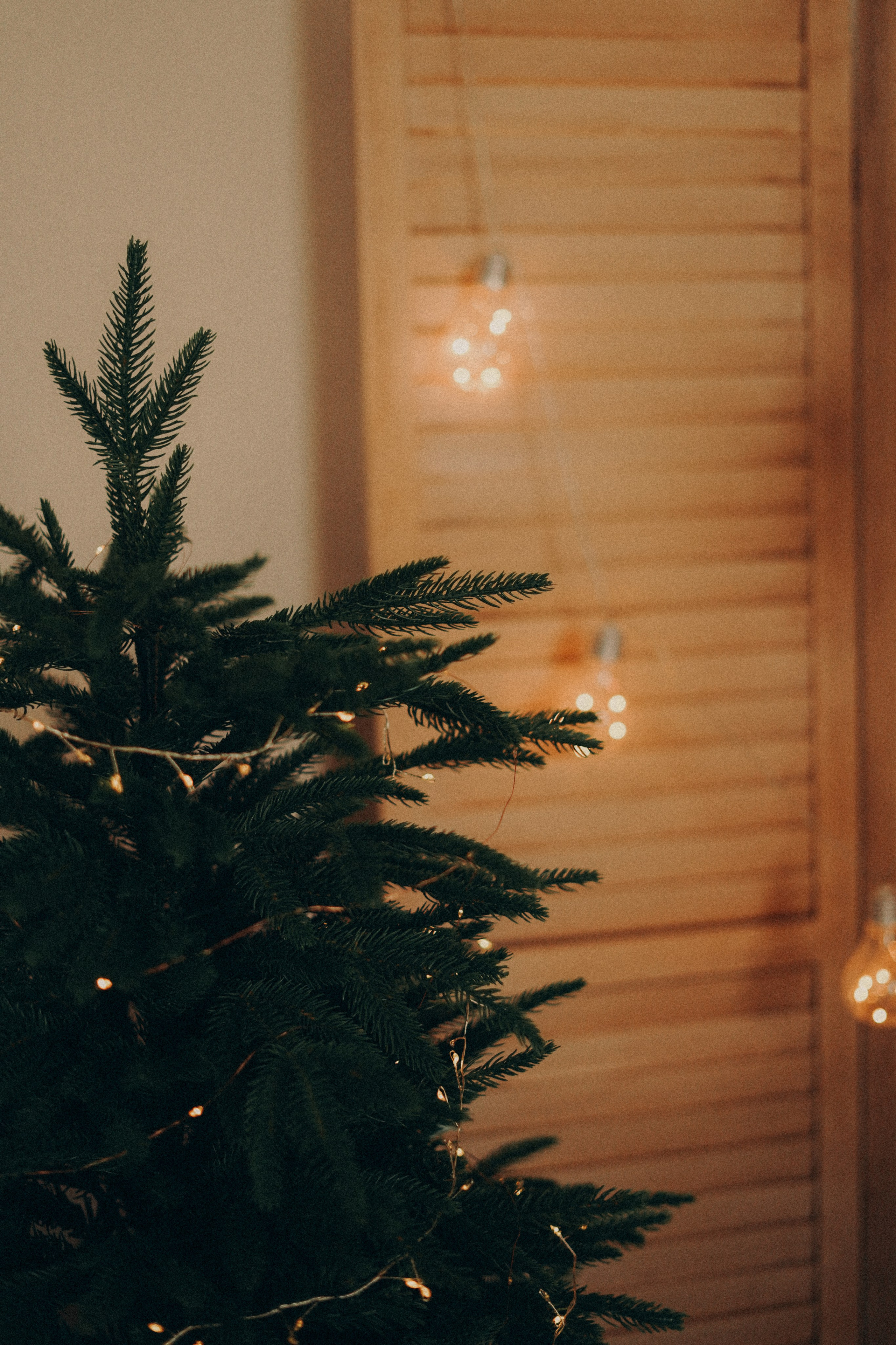 Зал 3. Фотограф Батуми | Ксения Кинасова