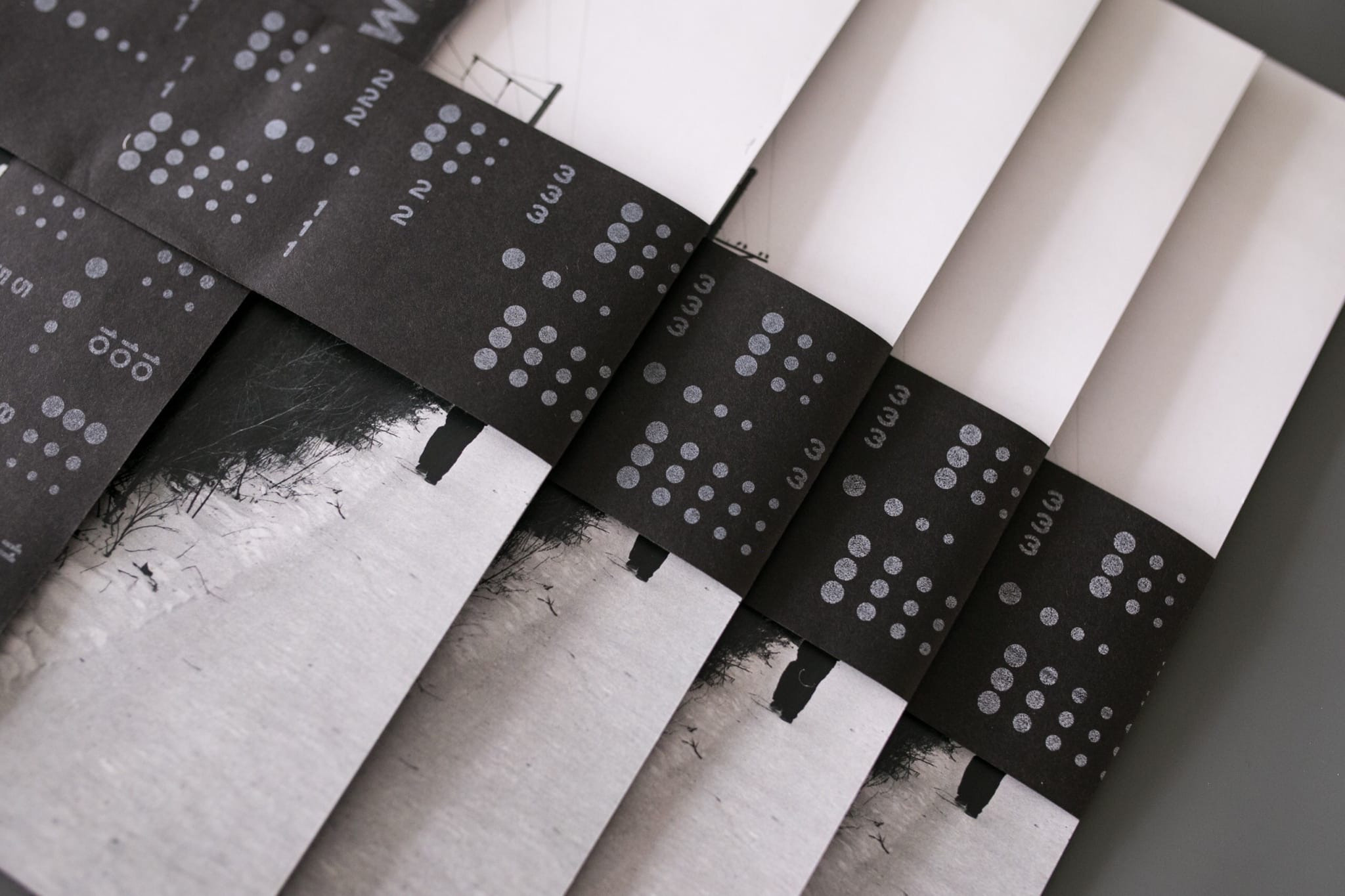 SLFXD X SBRNSTL. Artem Vladimirov