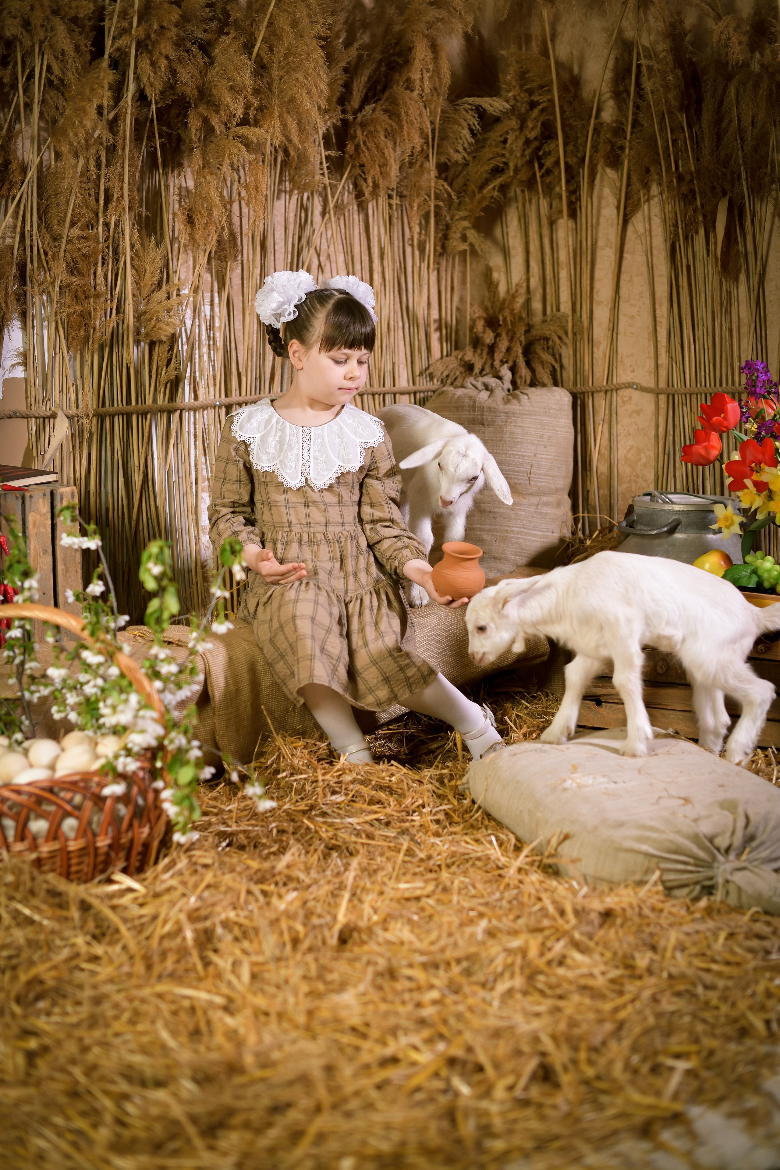 Тематические съемки. Фотостудия МАКС