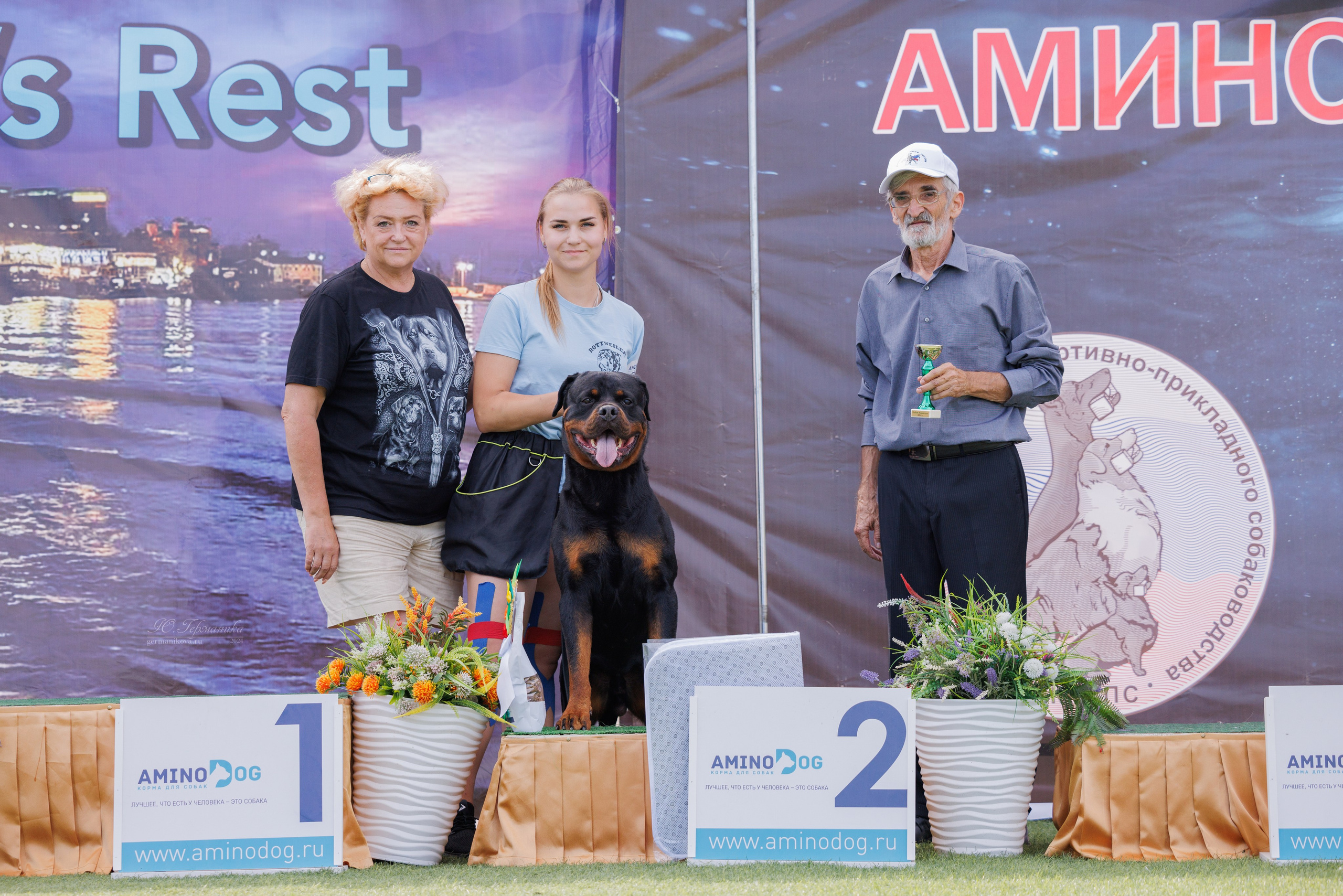 Анапа ротвейлеры 14-15.09.2024. Фотограф-анималист Юлия Германика