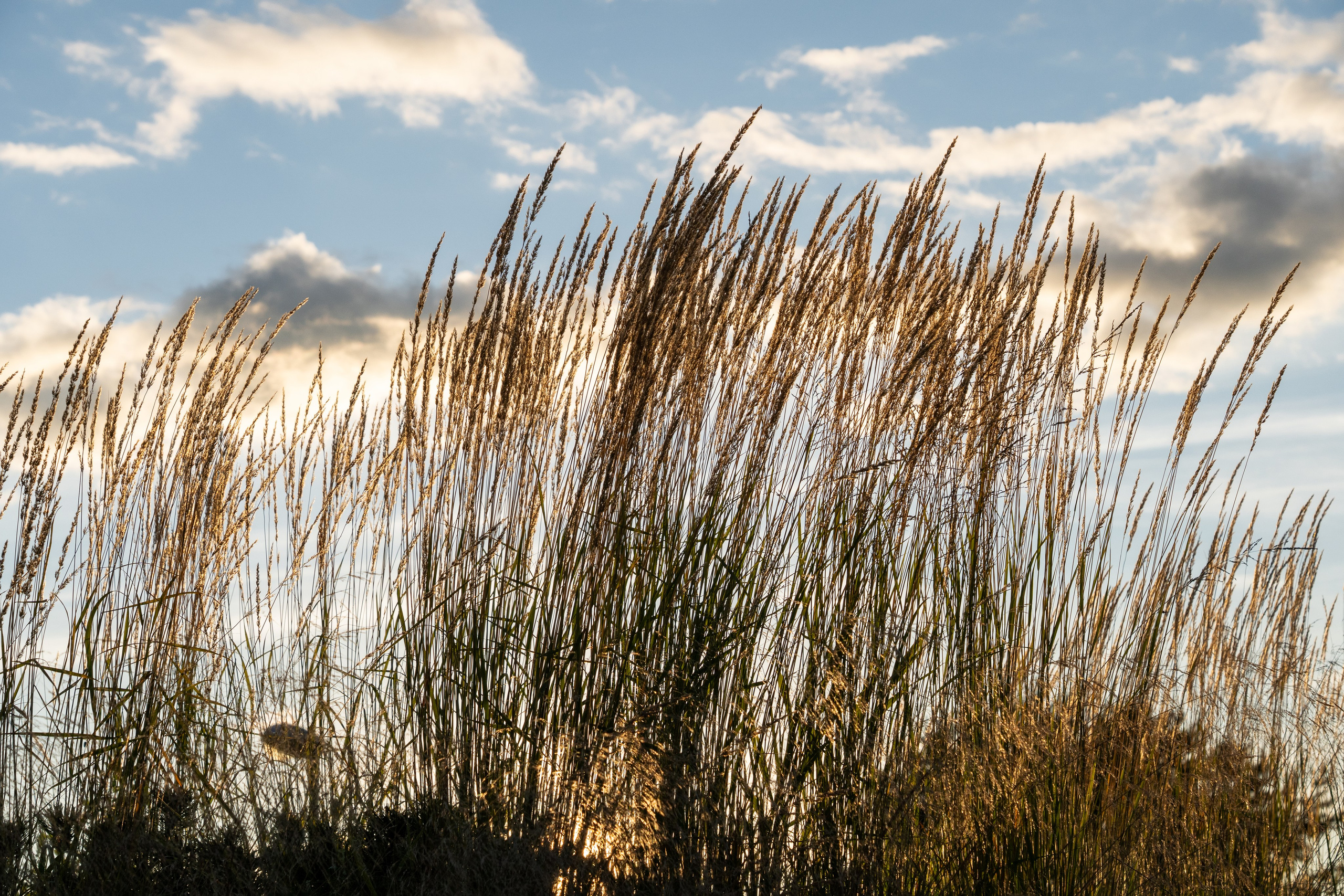 Private house, Moscow region. Артамонов Александр | Архитектурный и ландшафтный фотограф