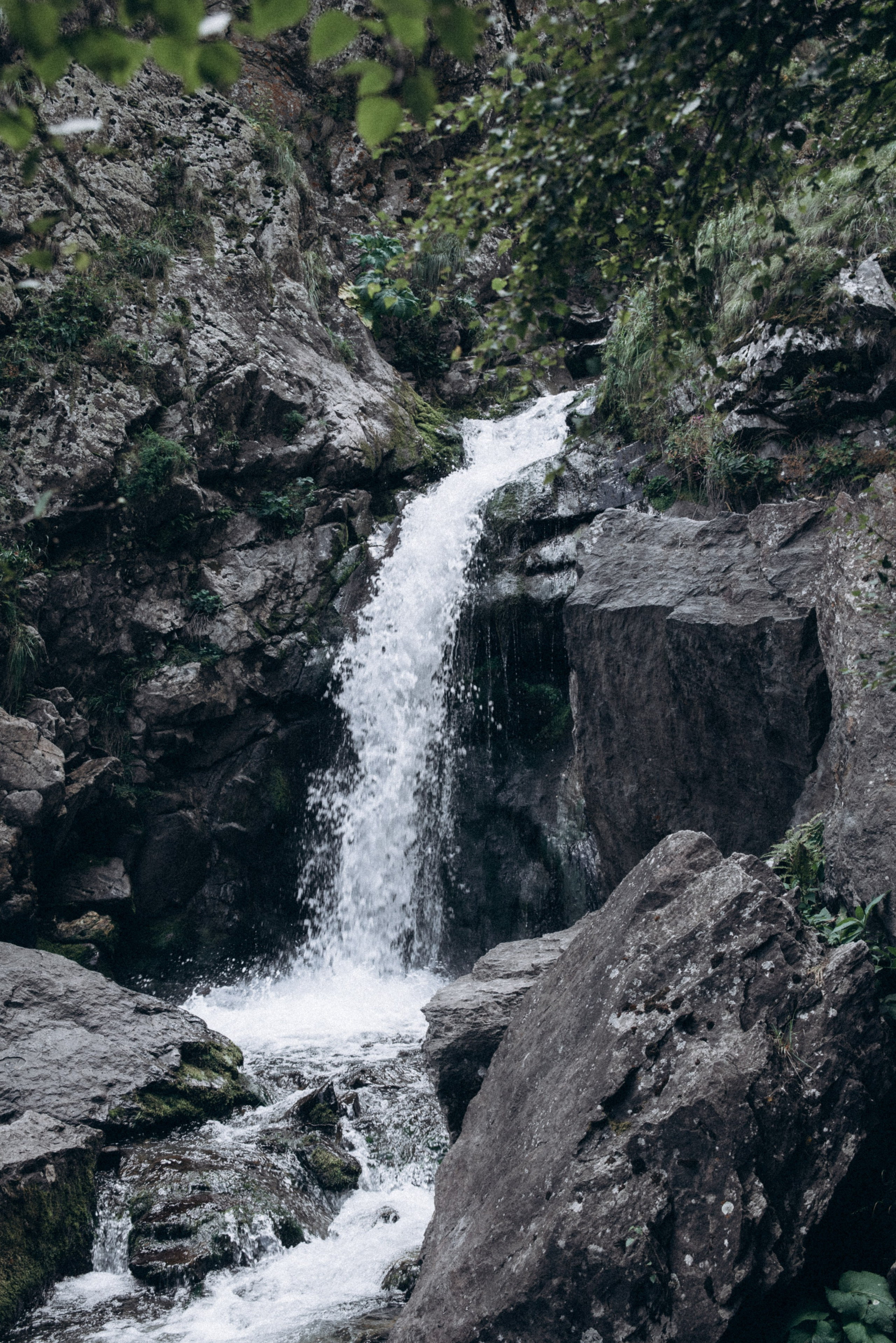 Казбеги, Грузия 🇬🇪 «Honey Trip». Anita_photo
