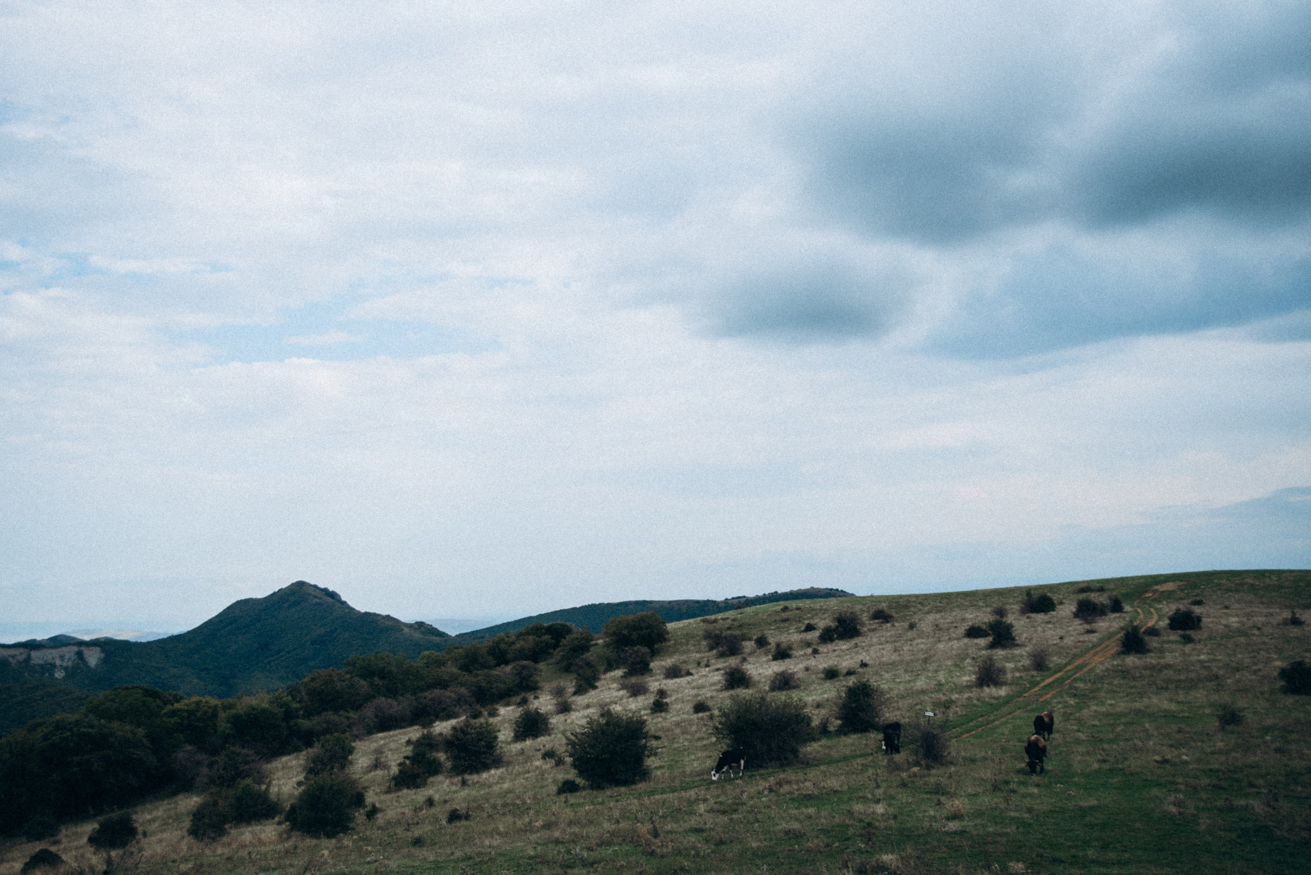 Harmoyfest 2023 Georgia 🇬🇪. Anita_photo