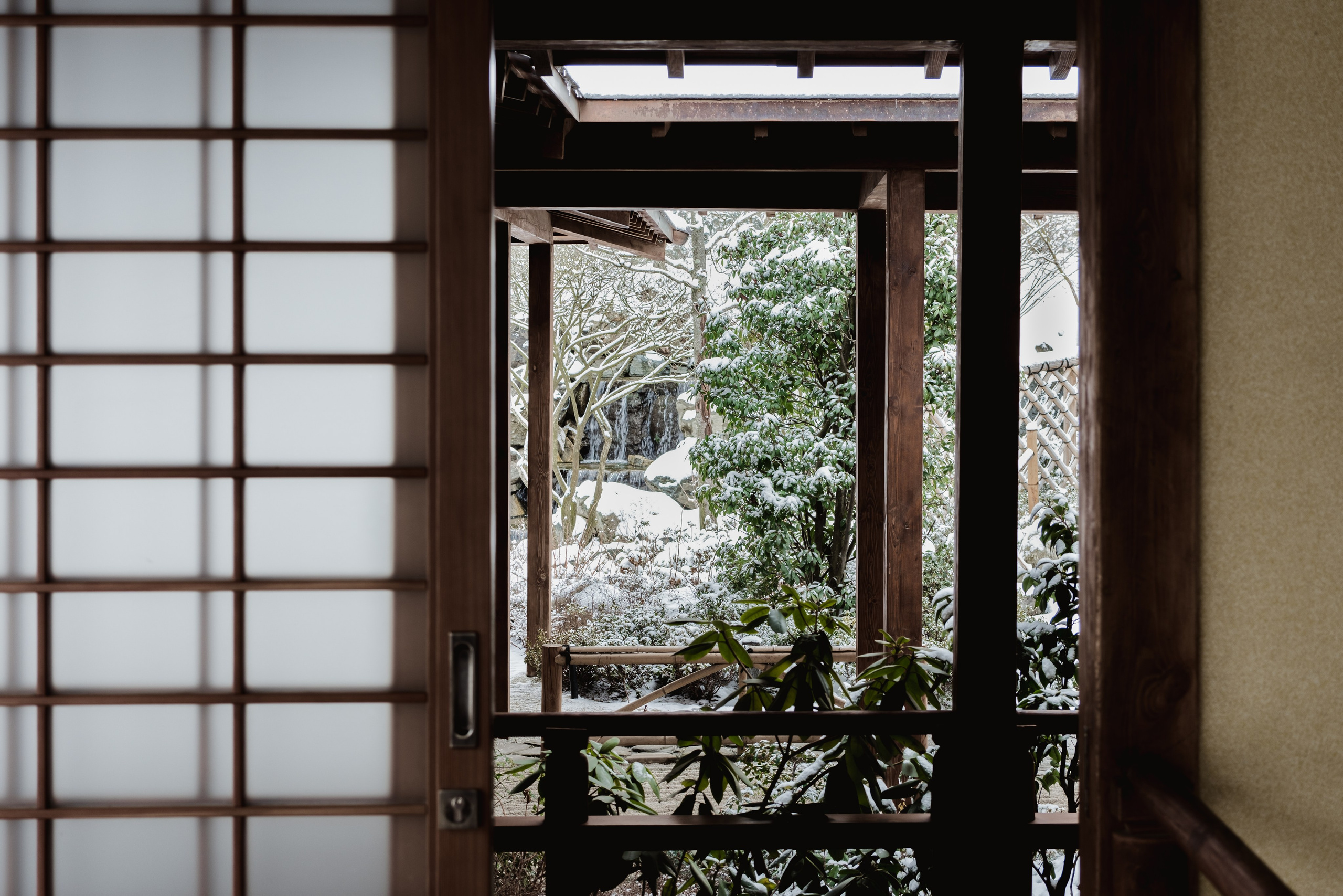 Japanese Garden in Krasnodar. Ekaterina Symidi. Interior Photographer