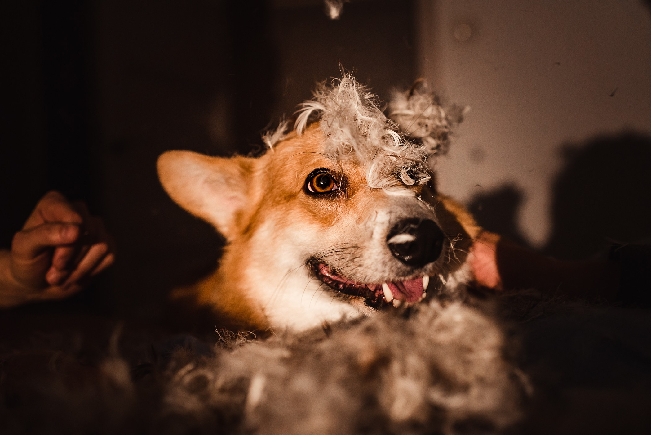 Пижамная вечеринка Тани и Димы. Семейный Фотограф в Москве Ирина Хохлова