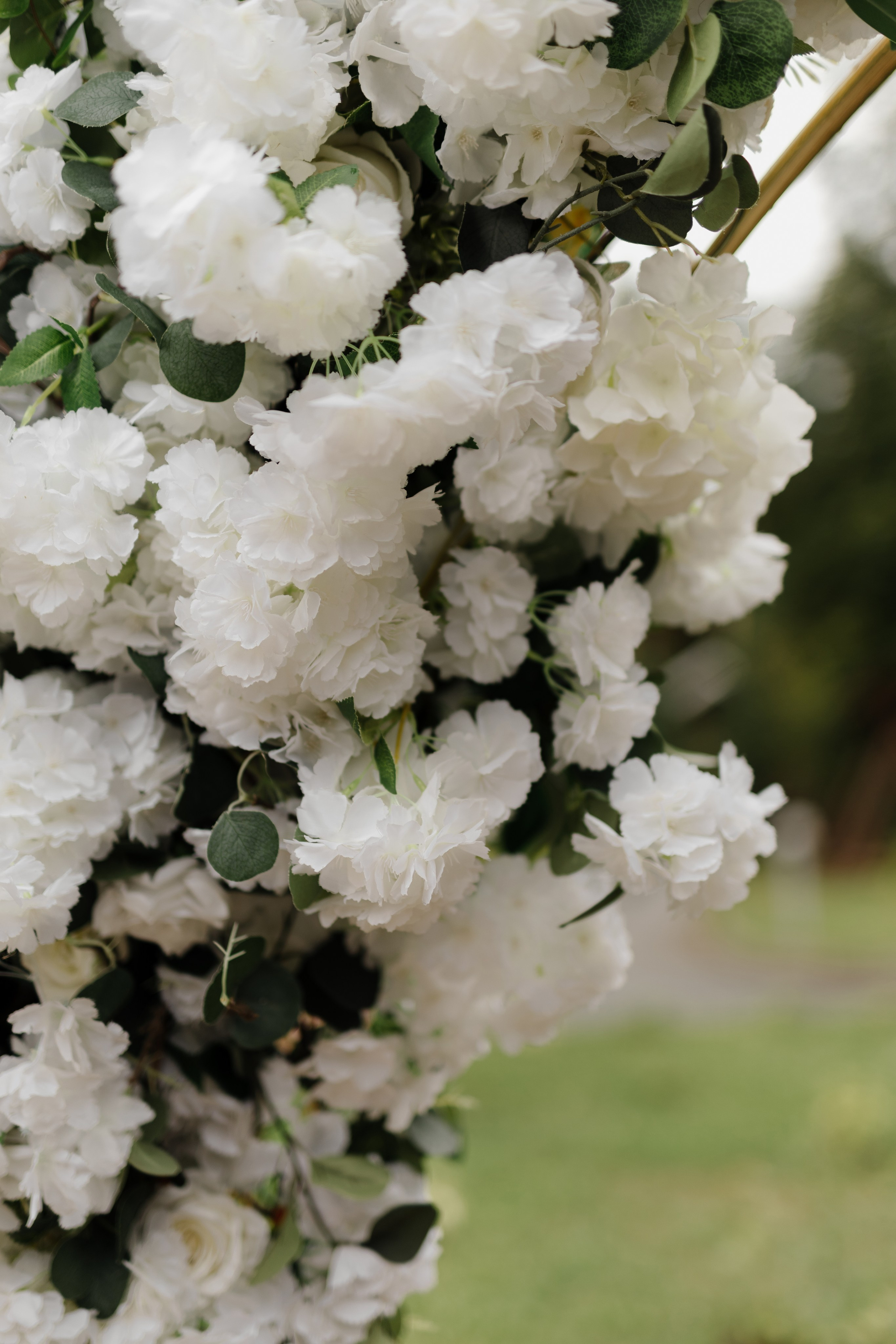 Свадьба Владислава и Елены. Фотограф Кольчугино/Владимир/Москва Елизавета Иода