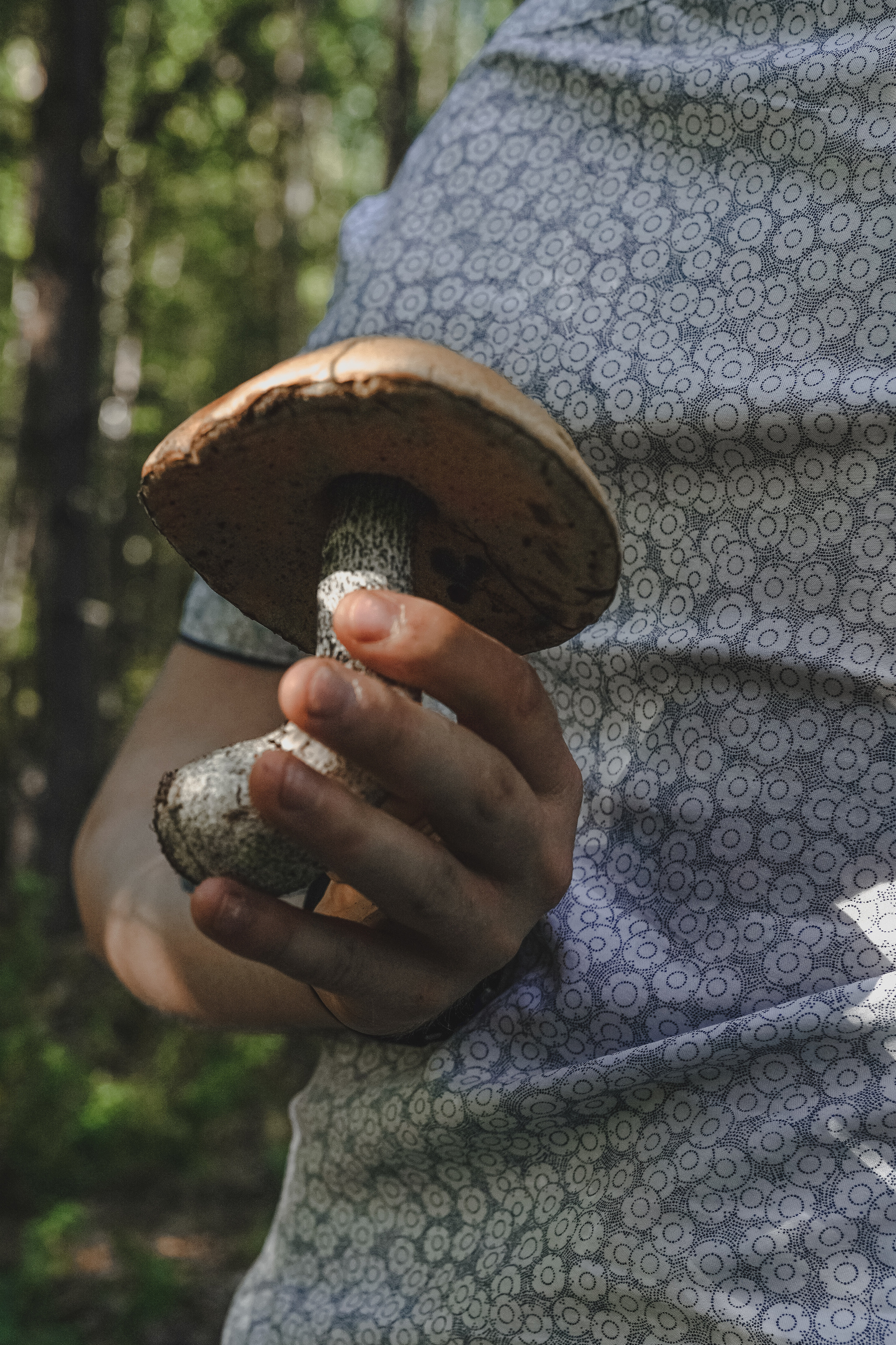 Семья. Фотограф и видеограф г. Нягань Анна Горшкова