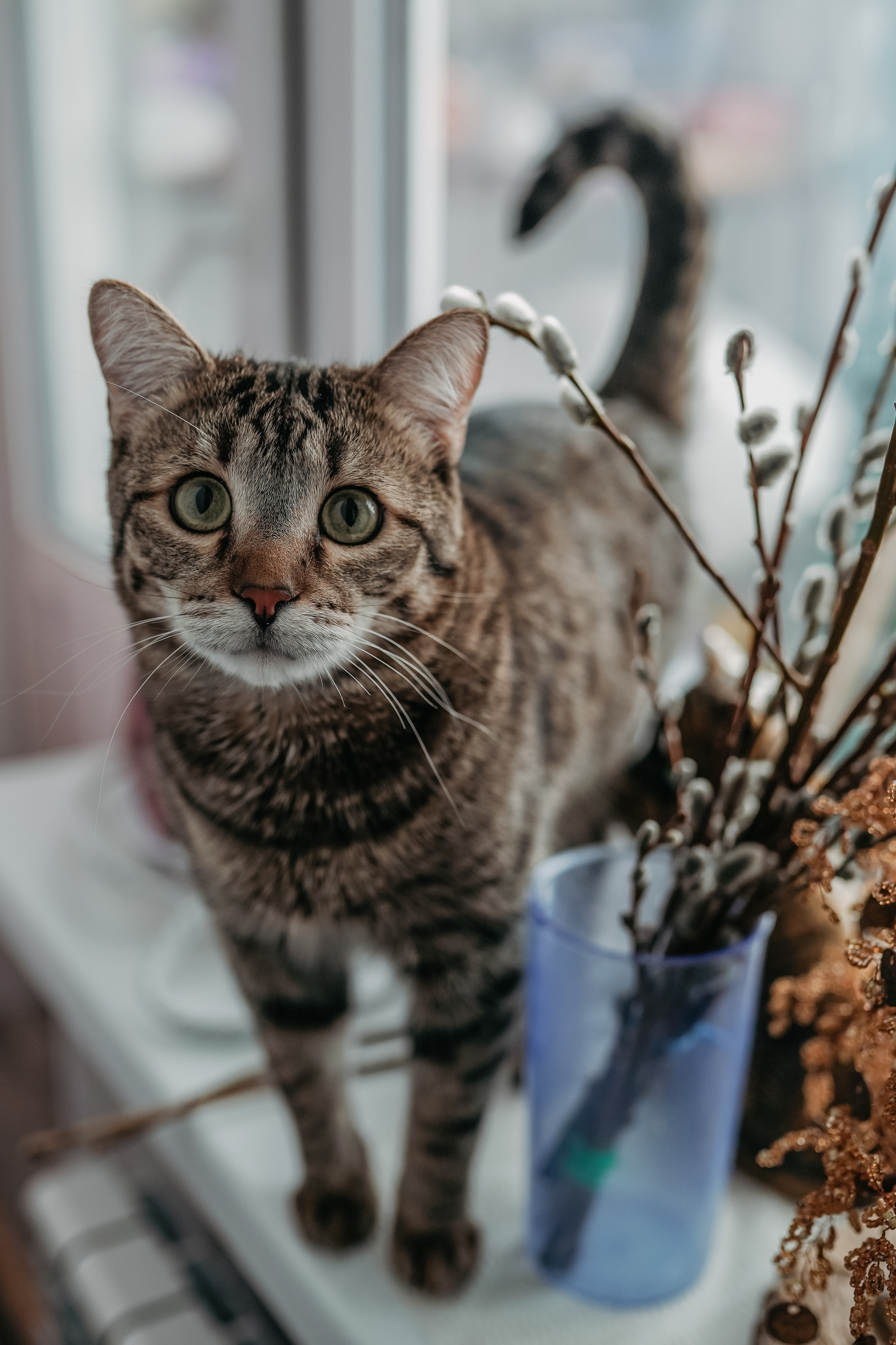 Мамочка и малышка. Фотограф и видеограф г. Нягань Анна Горшкова