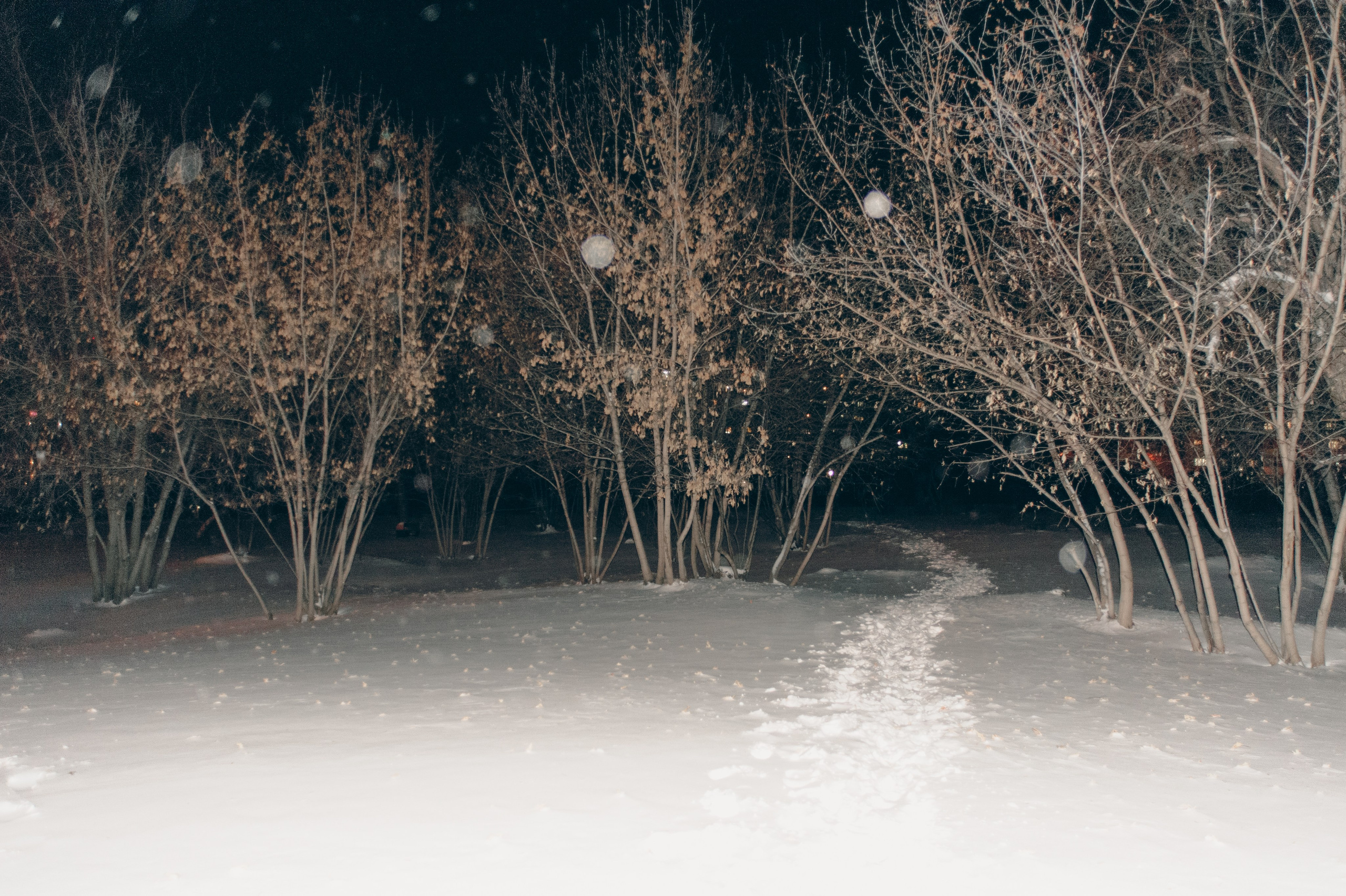 Промежуточные объекты. Фотограф Алик Мелконян