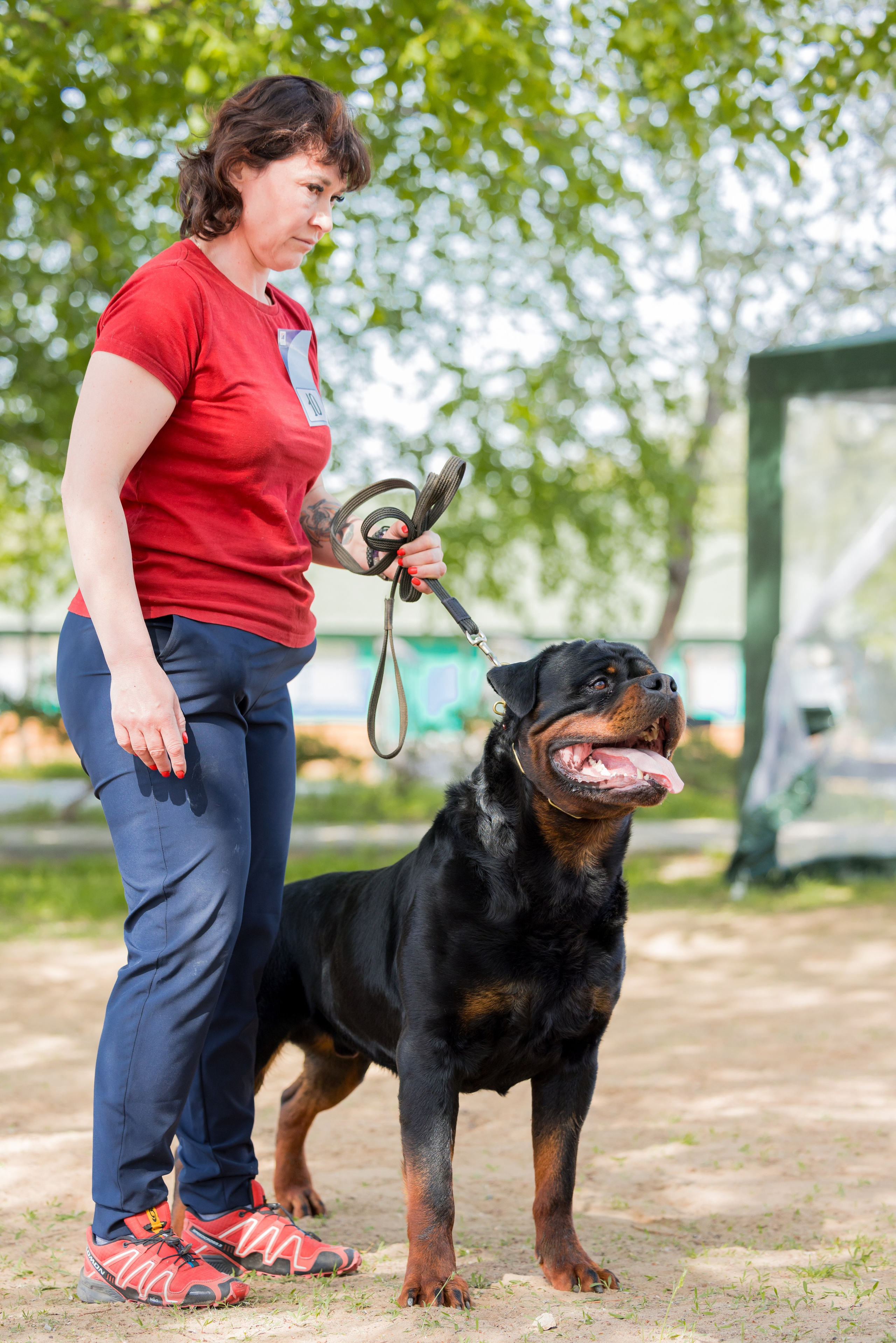 Саратов 2 х моно ротвейлеров 28-29.04.2024. Фотограф-анималист Юлия Германика