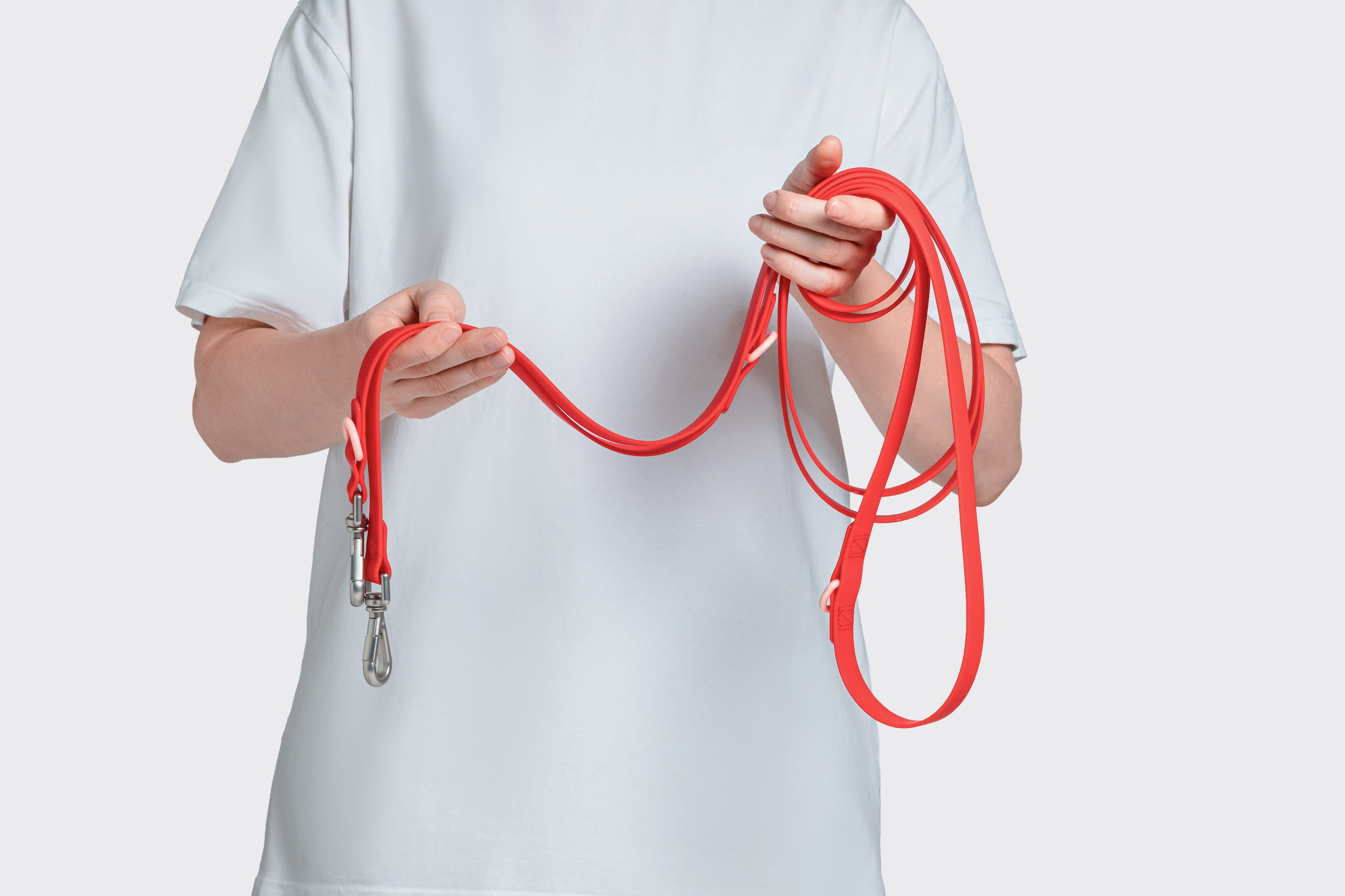 In good company для собак. Фотограф в Москве Татьяна Драгунова