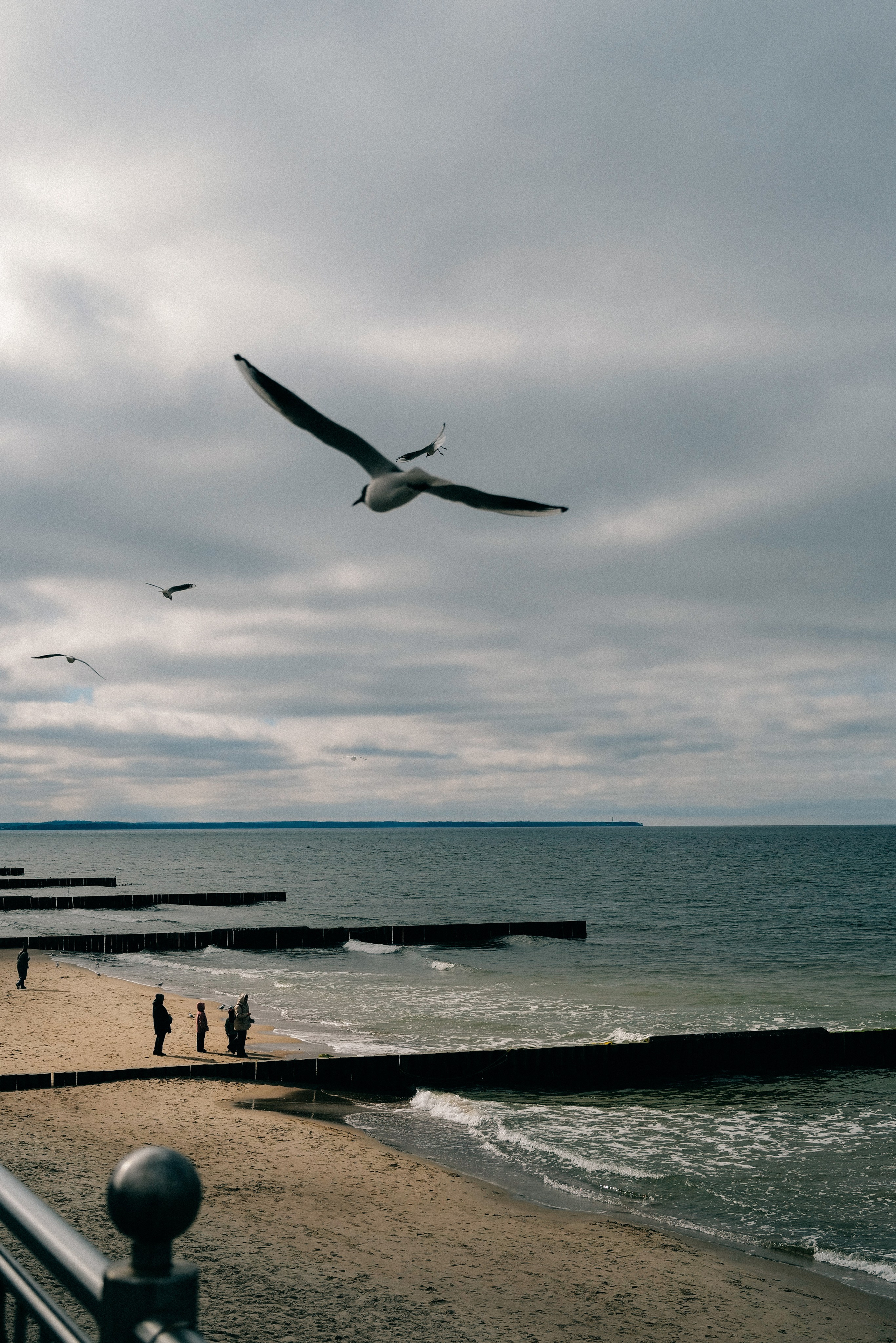 Zelenogradsk. Фотограф София Комкина