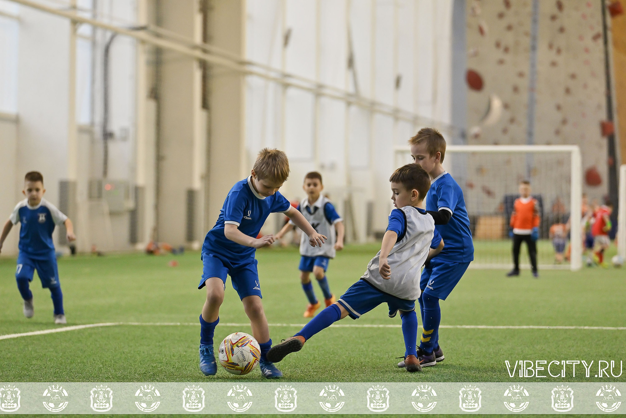 КУБОК БАЛТИЙСКОЙ ЛИГИ U6. VIBECITY.RU Вайб Сити Ру Фоторепортажи Фотоотчеты Калининград
