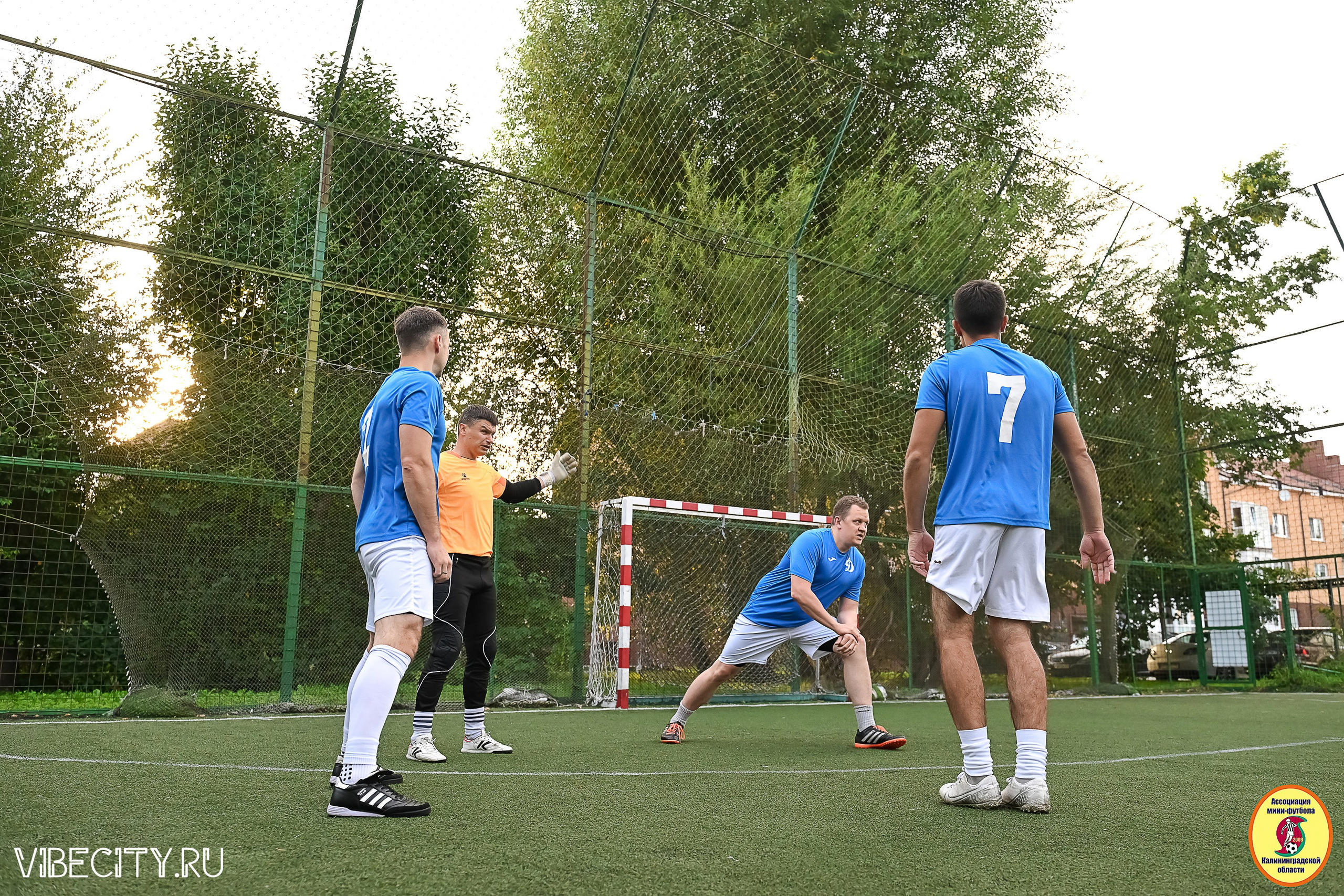 ИГРЫ ПЛЕЙ-ОФФ ПЕРВОГО ДИВИЗИОНА МИНИ-ФУТБОЛЬНОЙ ЛИГИ. VIBECITY.RU Вайб Сити Ру Фоторепортажи Фотоотчеты Калининград