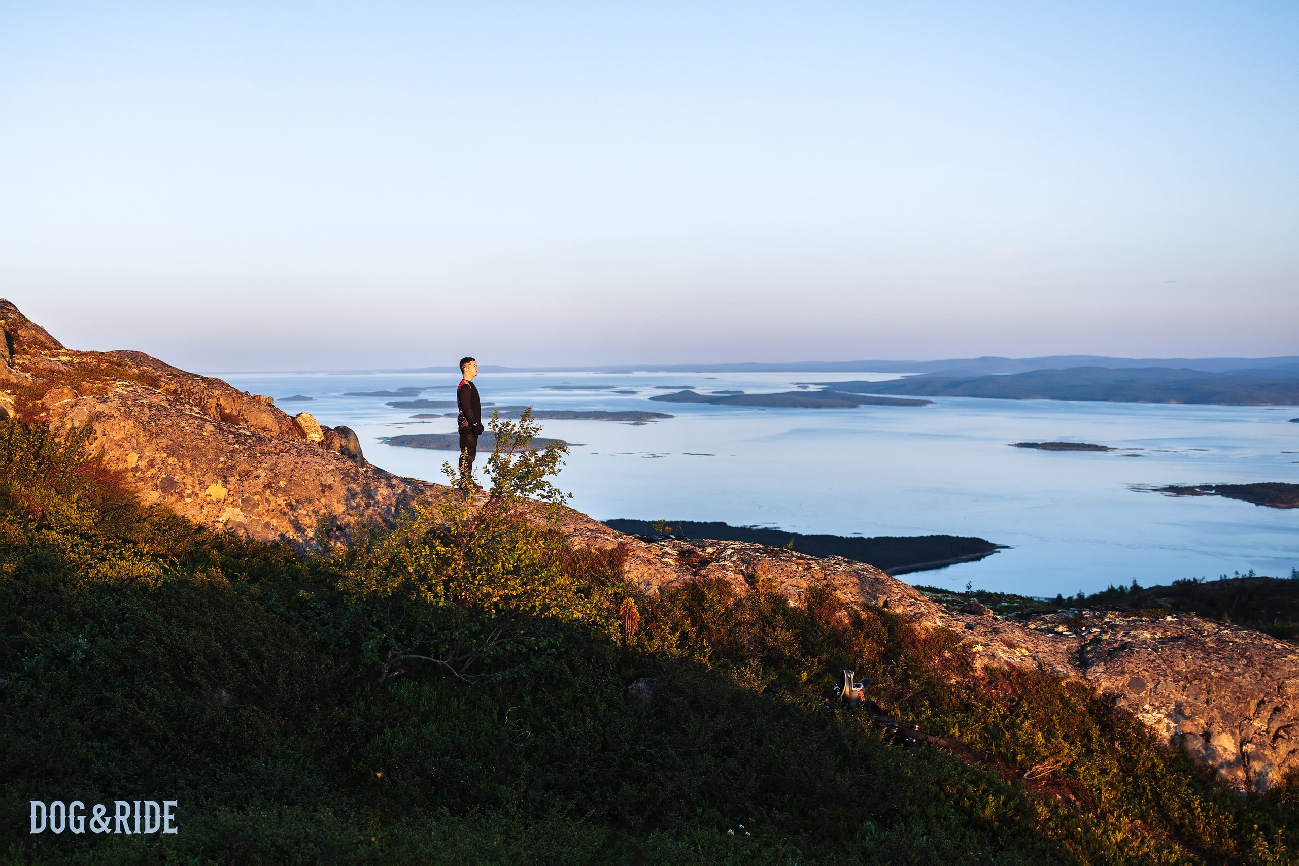 Кандалакшка. Фотограф анималист Никита Натальный
