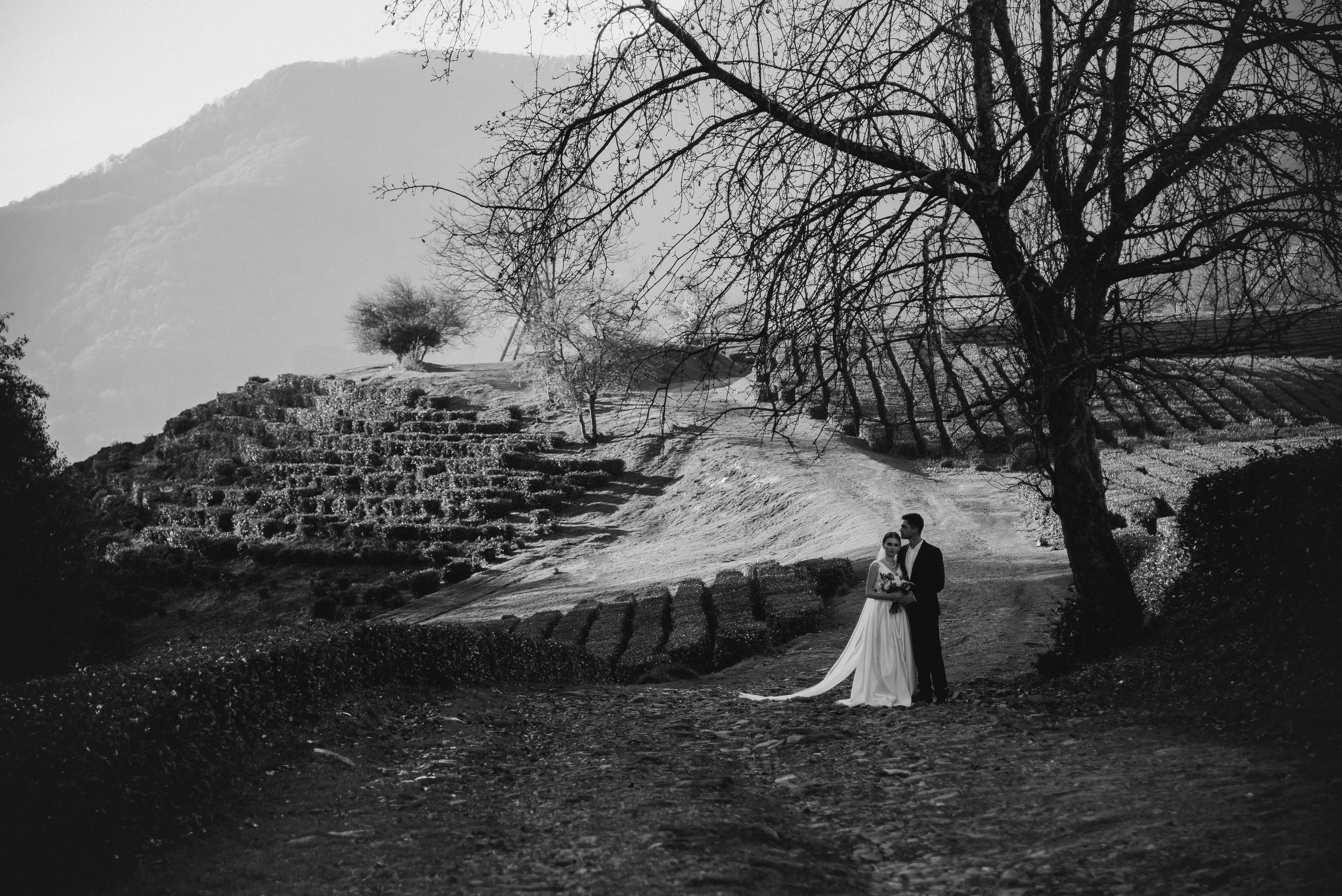 Чайные плантации Сочи. Свадебный и семейный фотограф Темрюк Алёна Ковальская