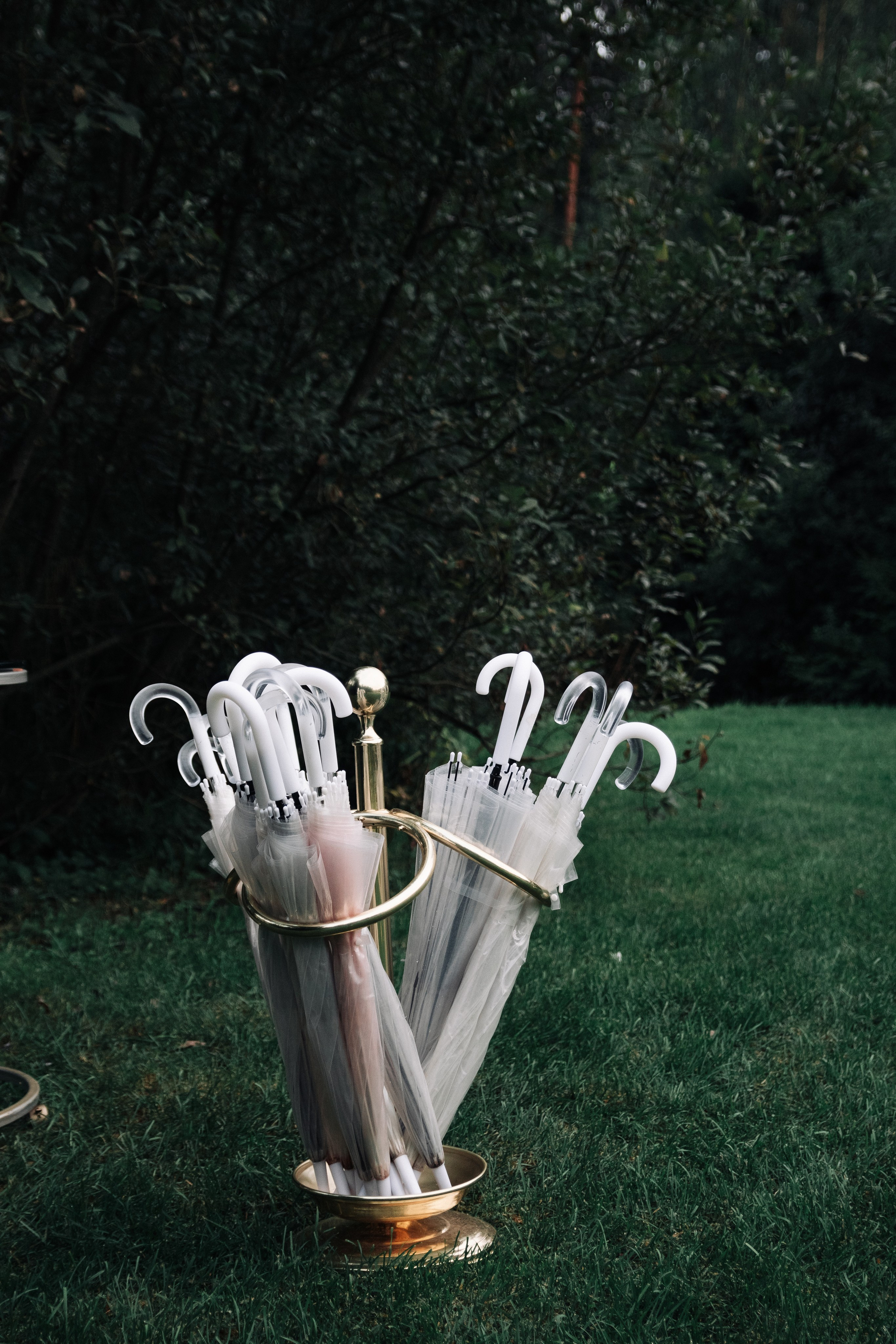 Wedding in nature's sparkles. Antonina Knyazeva  — фотограф из Москвы, съемки по всему миру