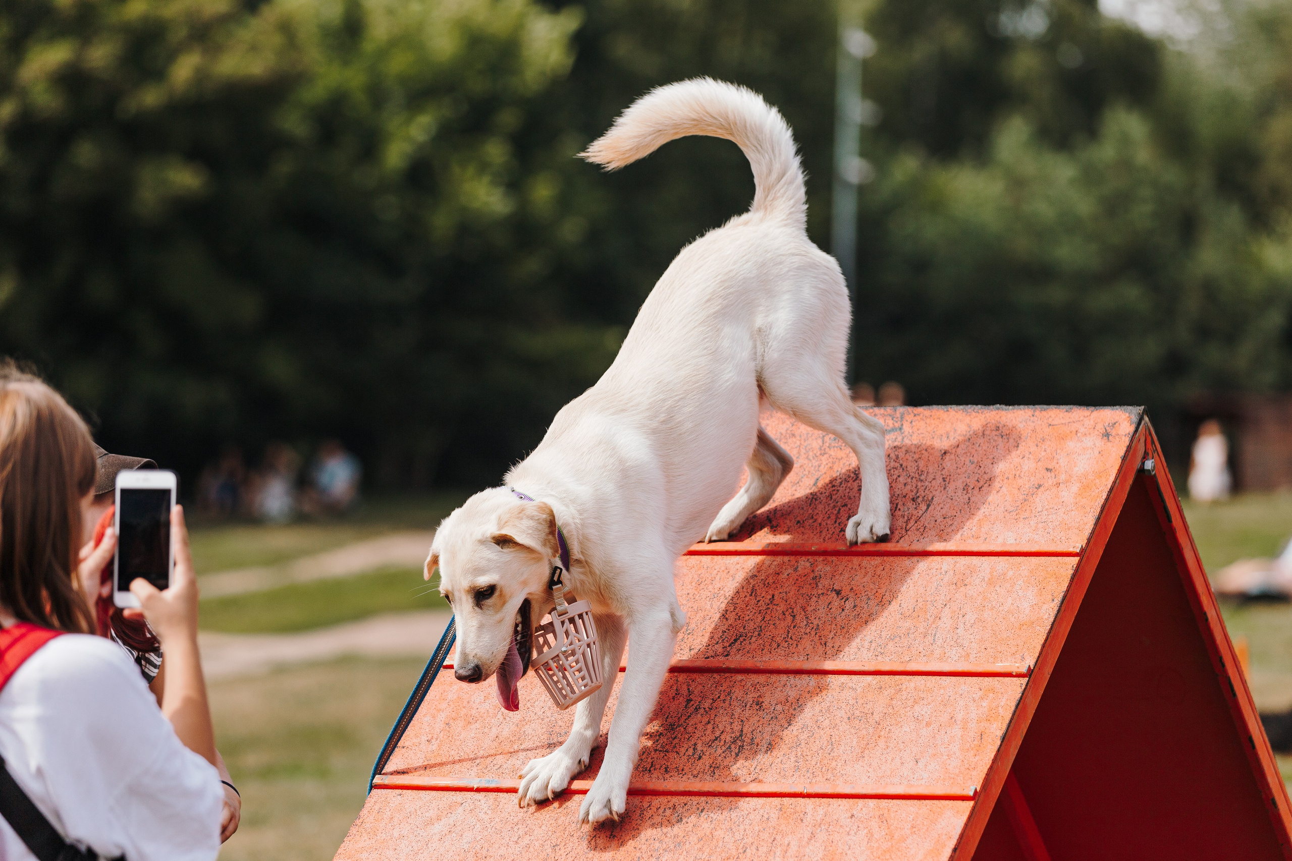 Petshop Sup day. Фотограф анималист Кристина Карпова, Москва