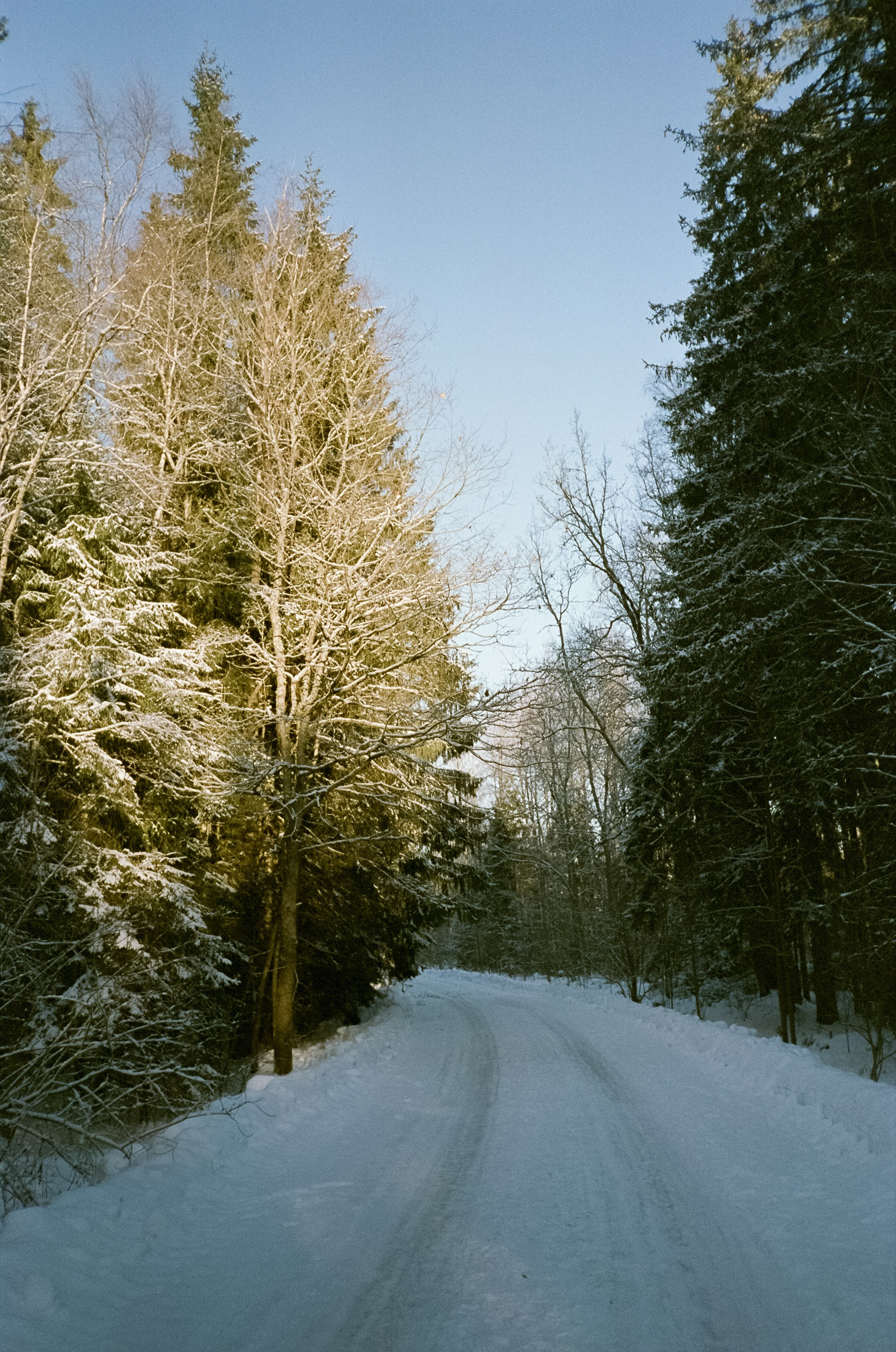 Chinon Auto 3001 (2) / Fuji Eterna 250D (ISO 100) / Давыдовское, Лукин