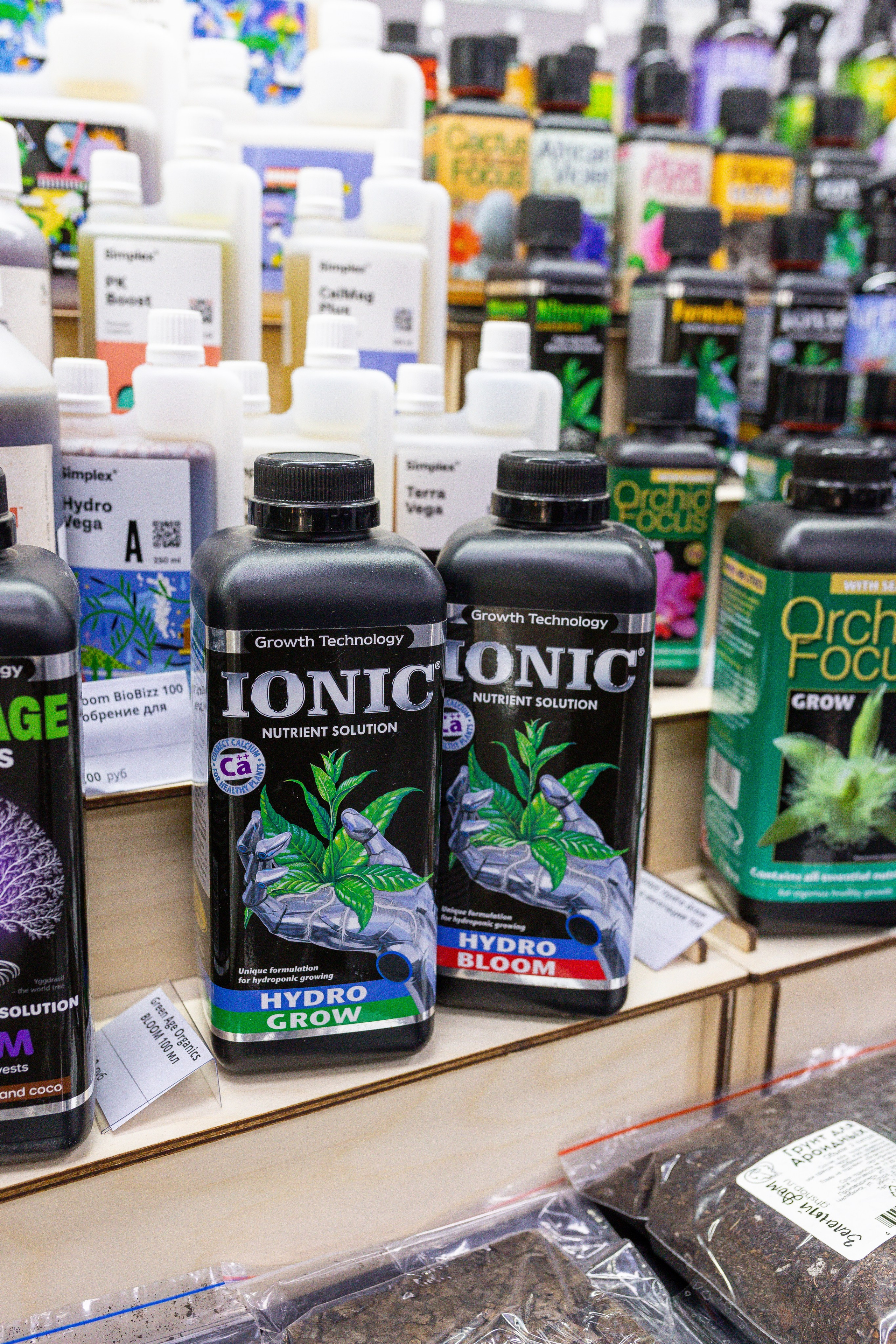 Монстериум апрель 2025. Александра Куликова фотограф, Москва