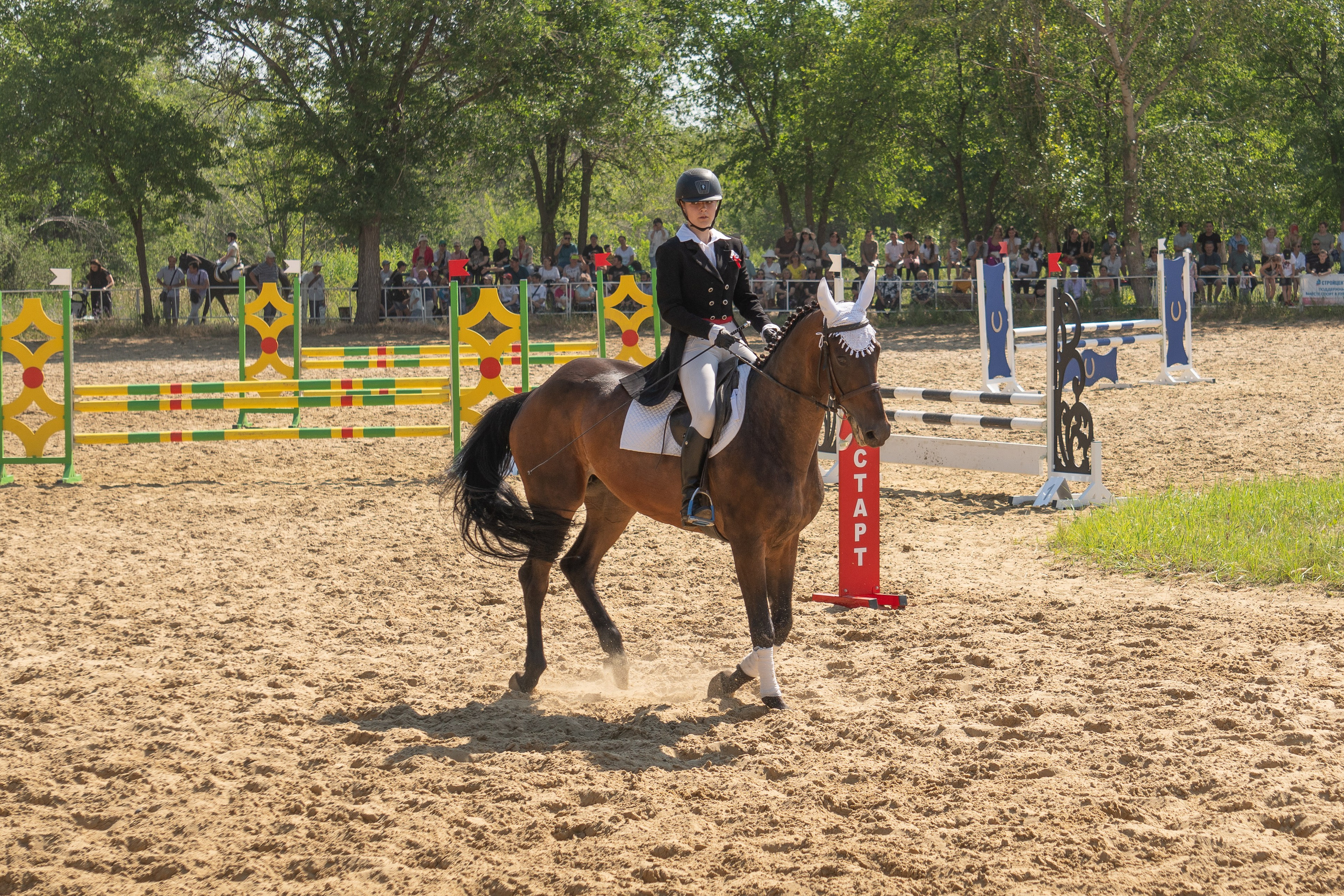 Соревнования по конкуру, Луганск. Фотограф в РФ и ЛНР Юлия Федосеева