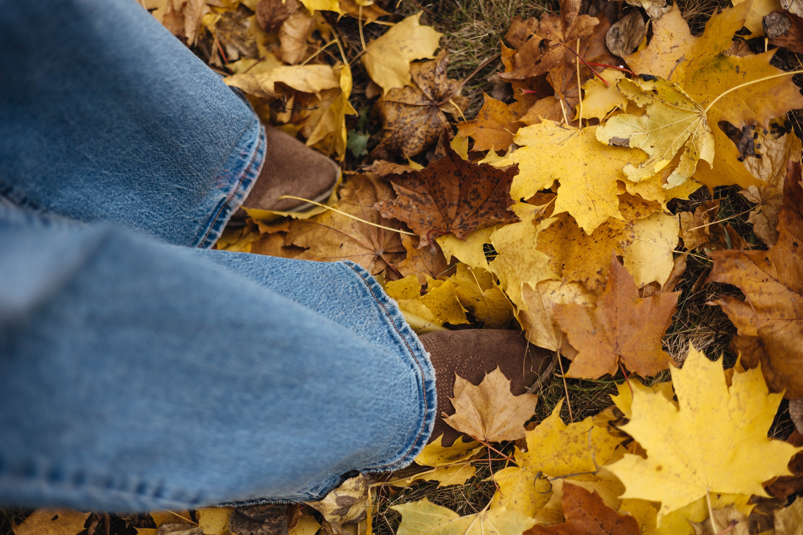 Аделина. Женский и семейный фотограф в Москве Никулина Алена
