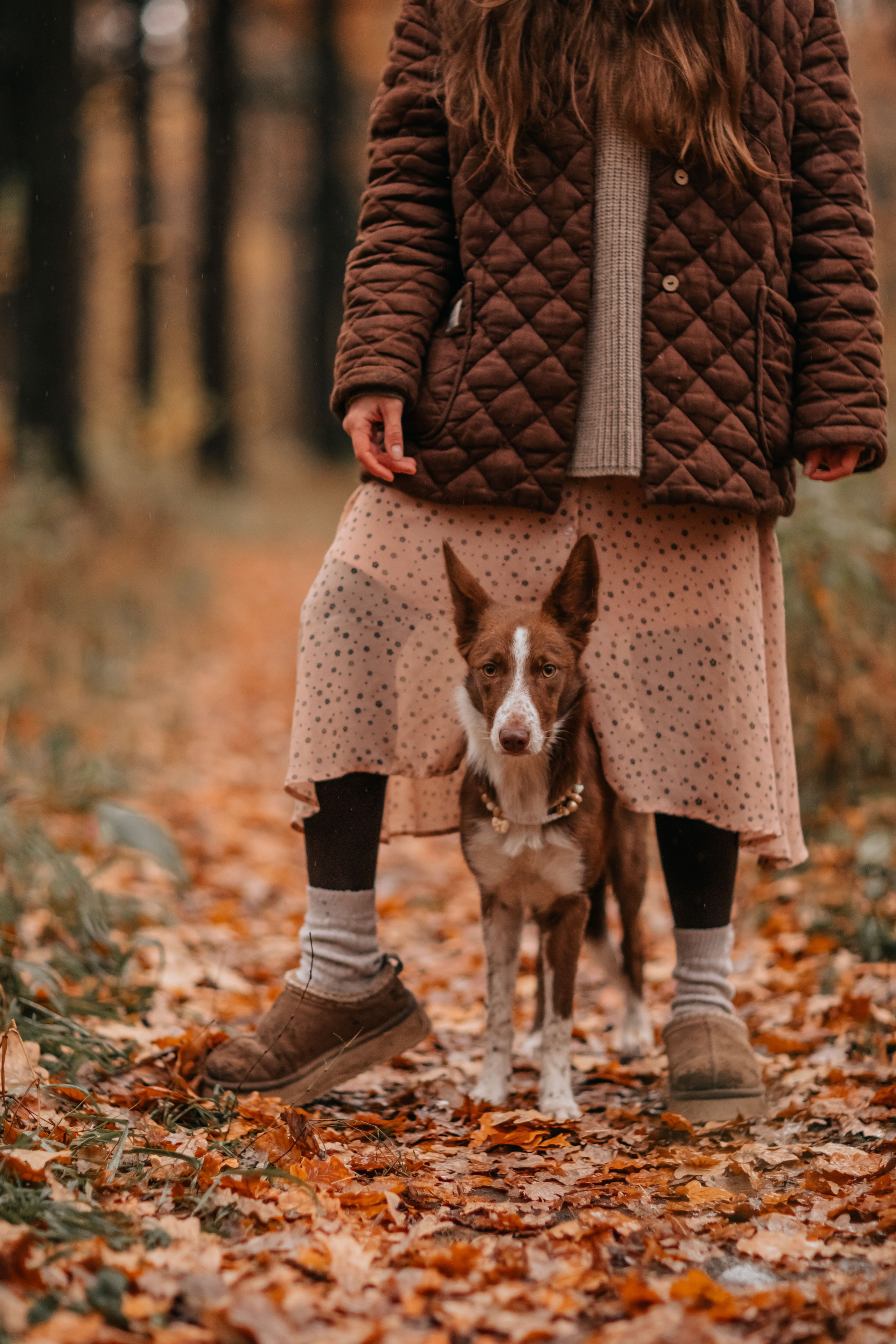 Марина и Энс в осеннем дождливом лесу. Семейный фотограф анималист Мария Крючкова