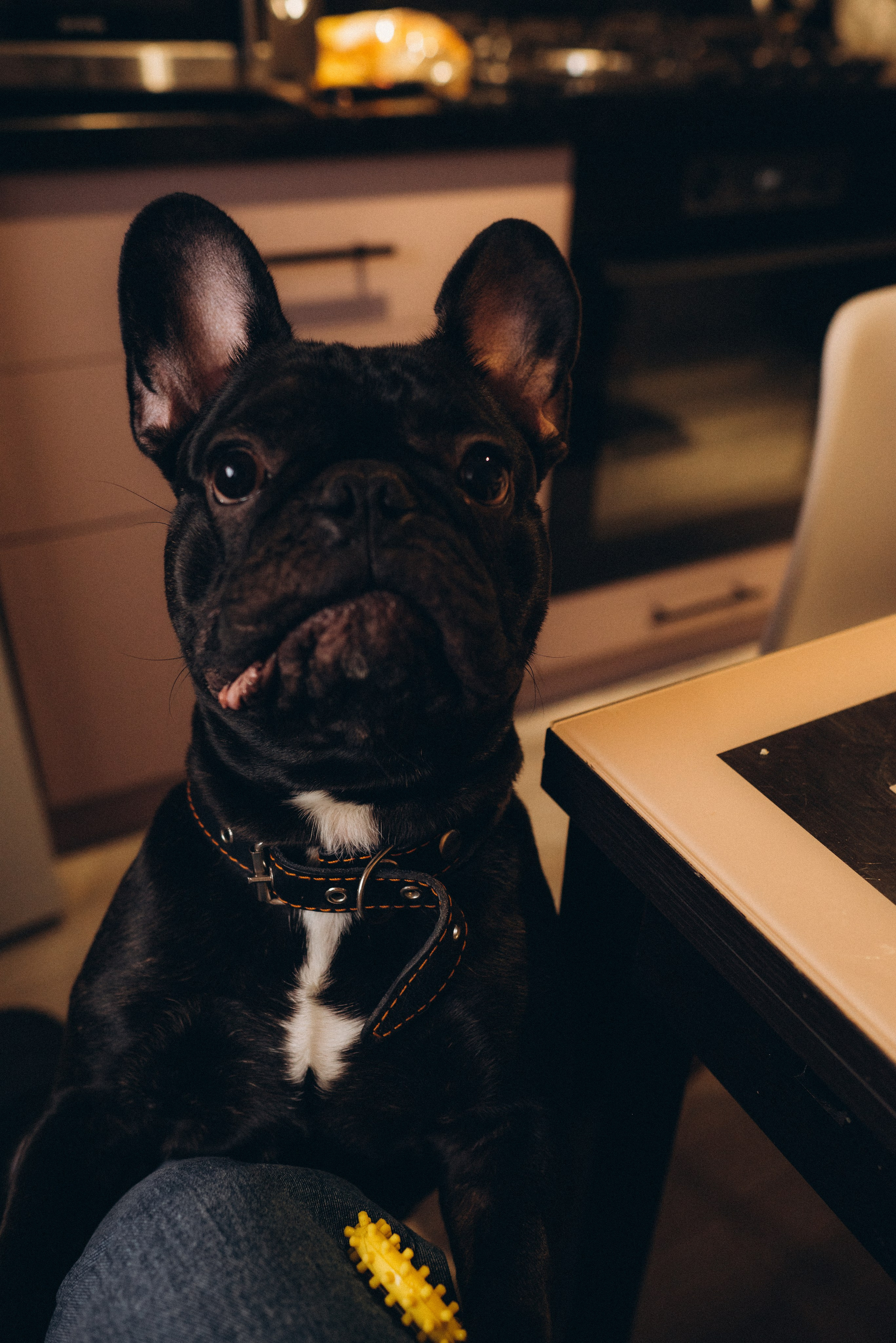 Карина и Егор. Суханова Регина Фотограф Сергиев Посад