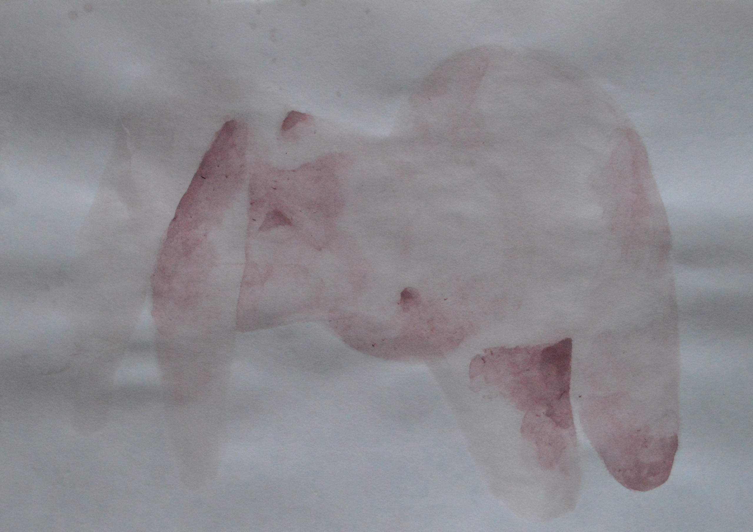 Лилия Ким. Междисциплинарный художник