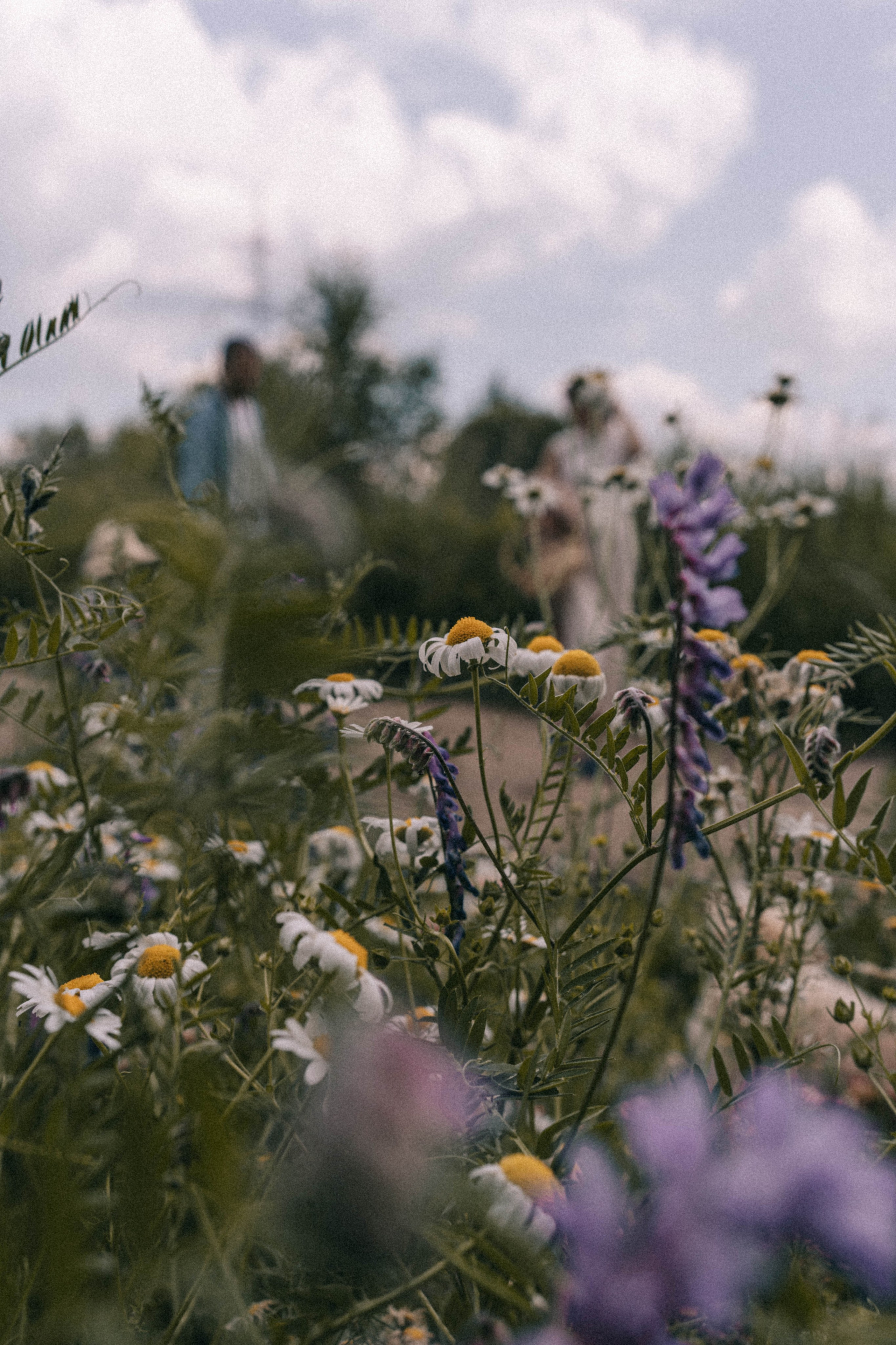 До луны и обратно. Семейный и свадебный фотограф