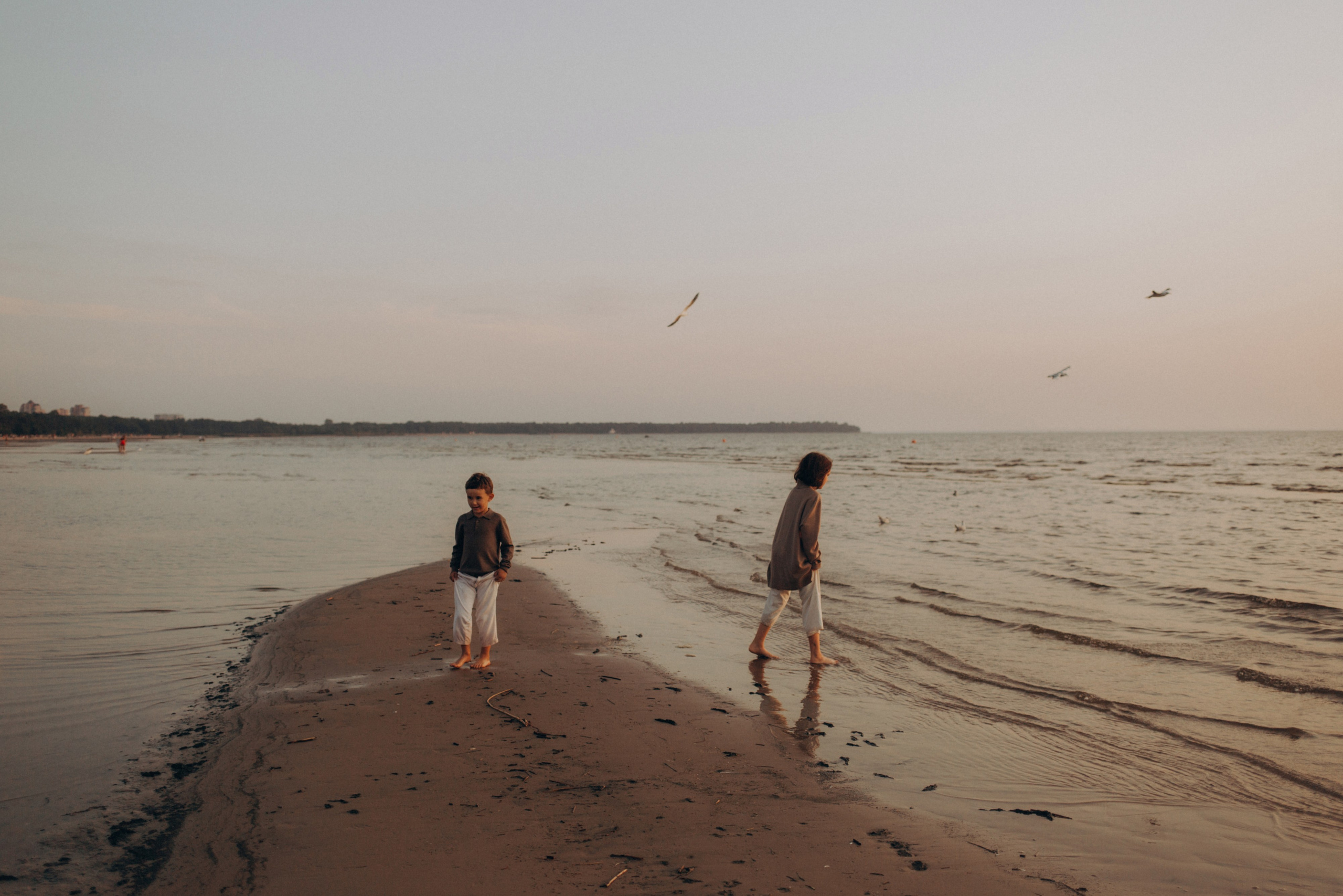 🤎. Семейный фотограф Виолла Платонова Белгород