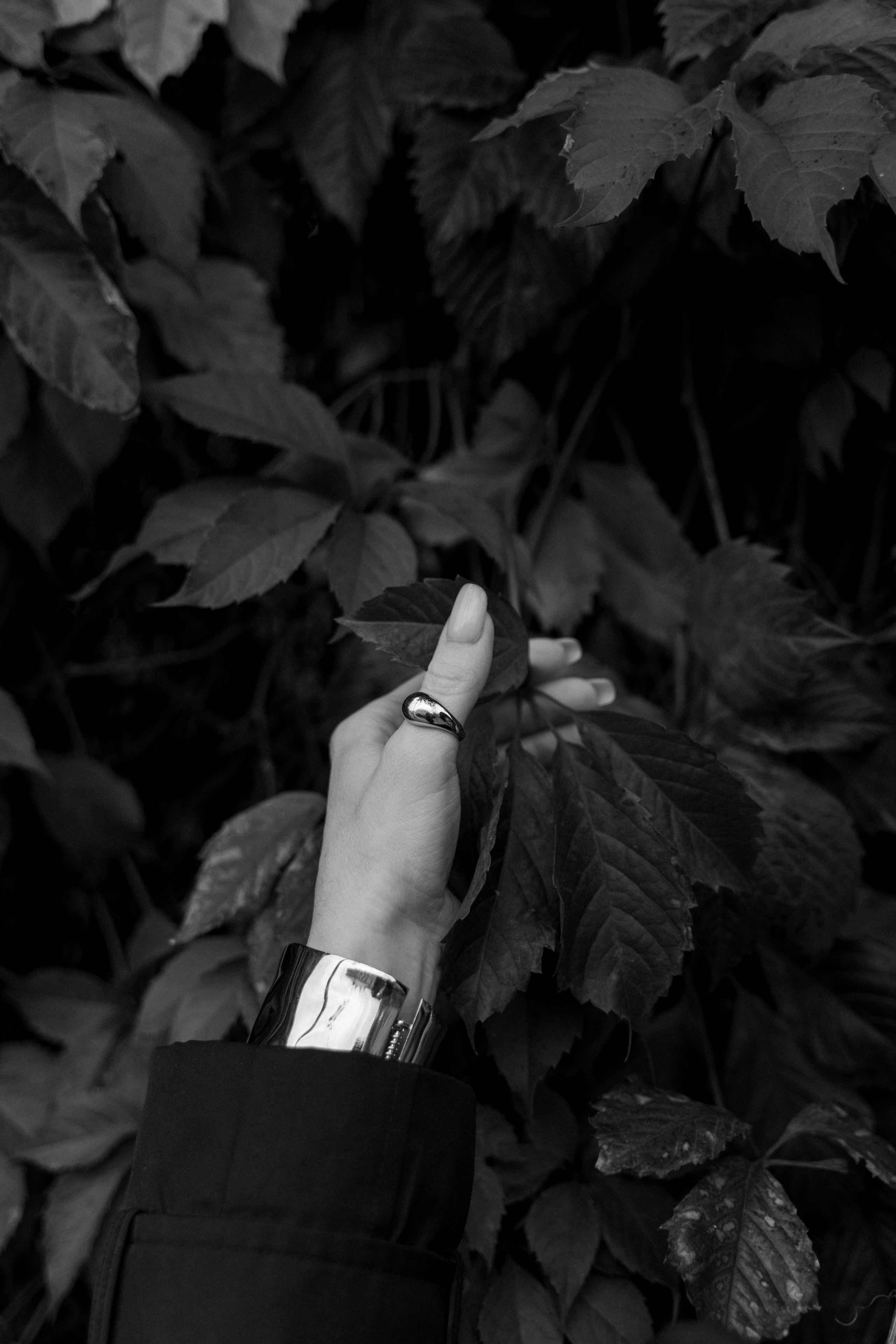 Осенняя история. FotoTanya. Раменское/Жуковский/Бронницы