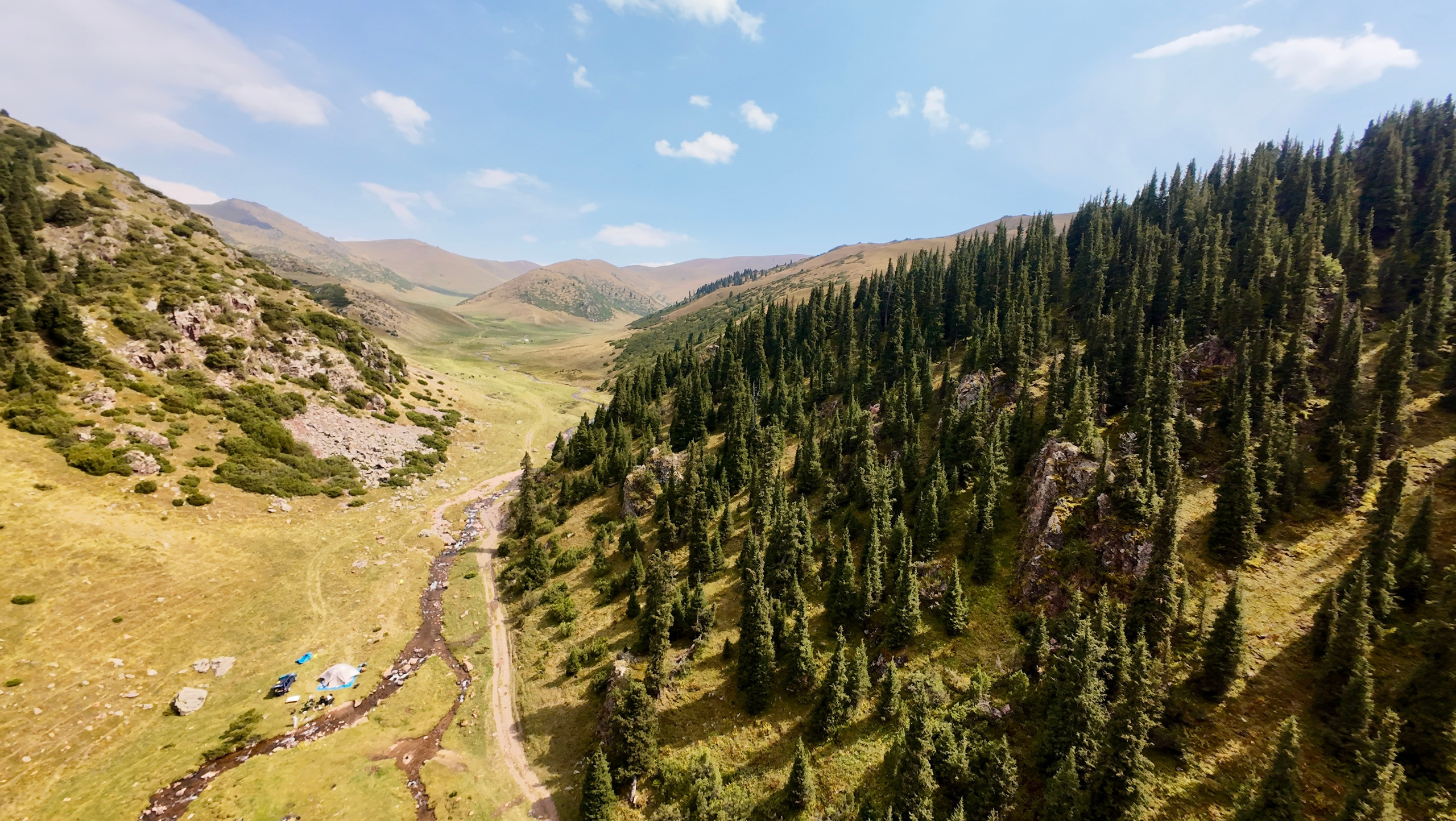 Незабываемое 4 апреля. Экскурсия Чарын, Кольсай и Каинды из Алматы | RD Travel