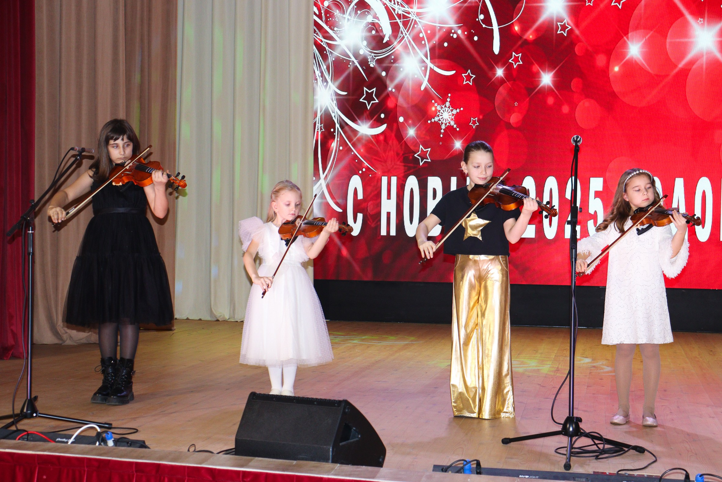 Новогодний концерт Шишли-Мышли