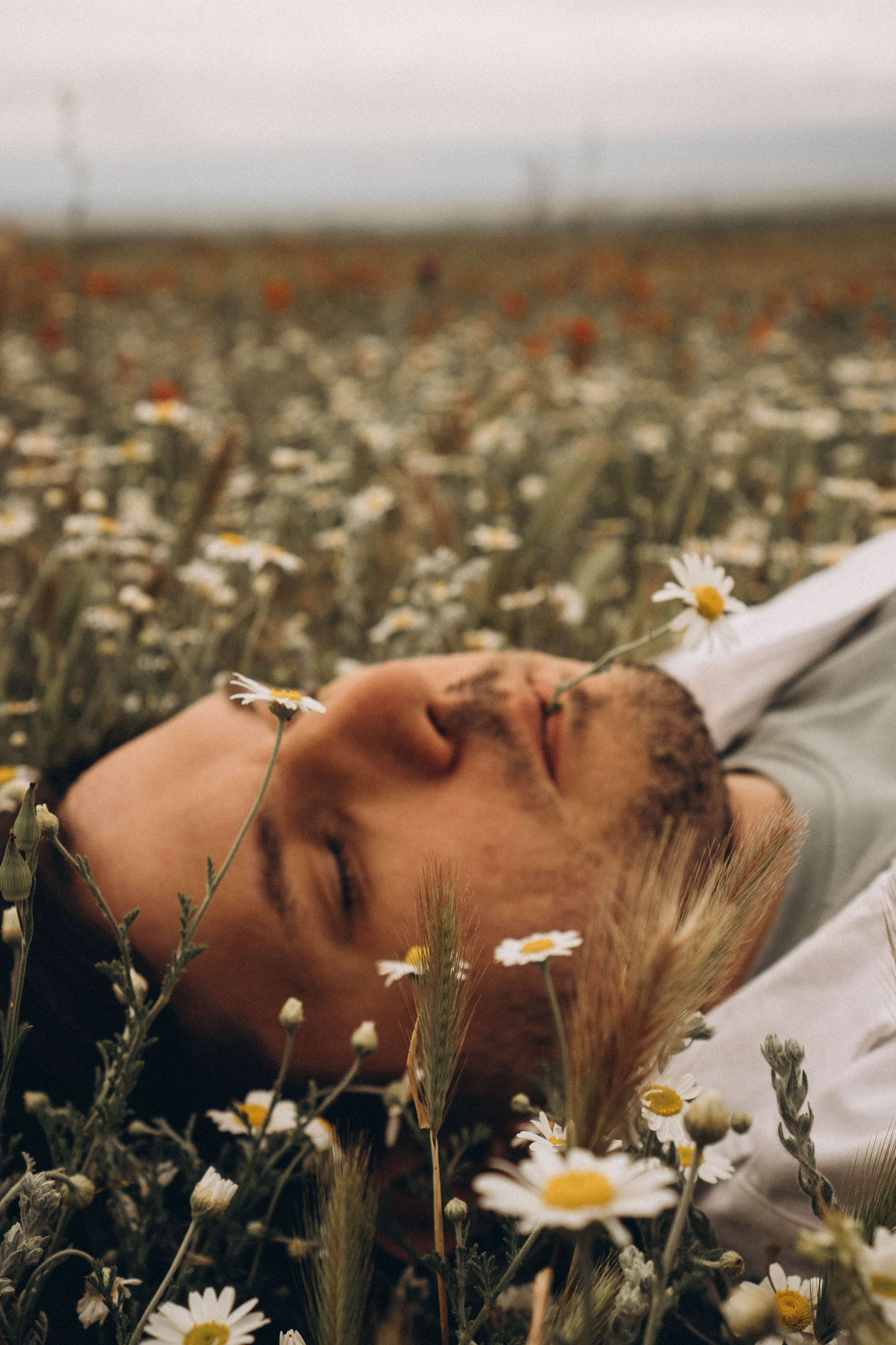 Маки. Профессиональный фотограф, Санкт-Петербург — Виктория Богомолова