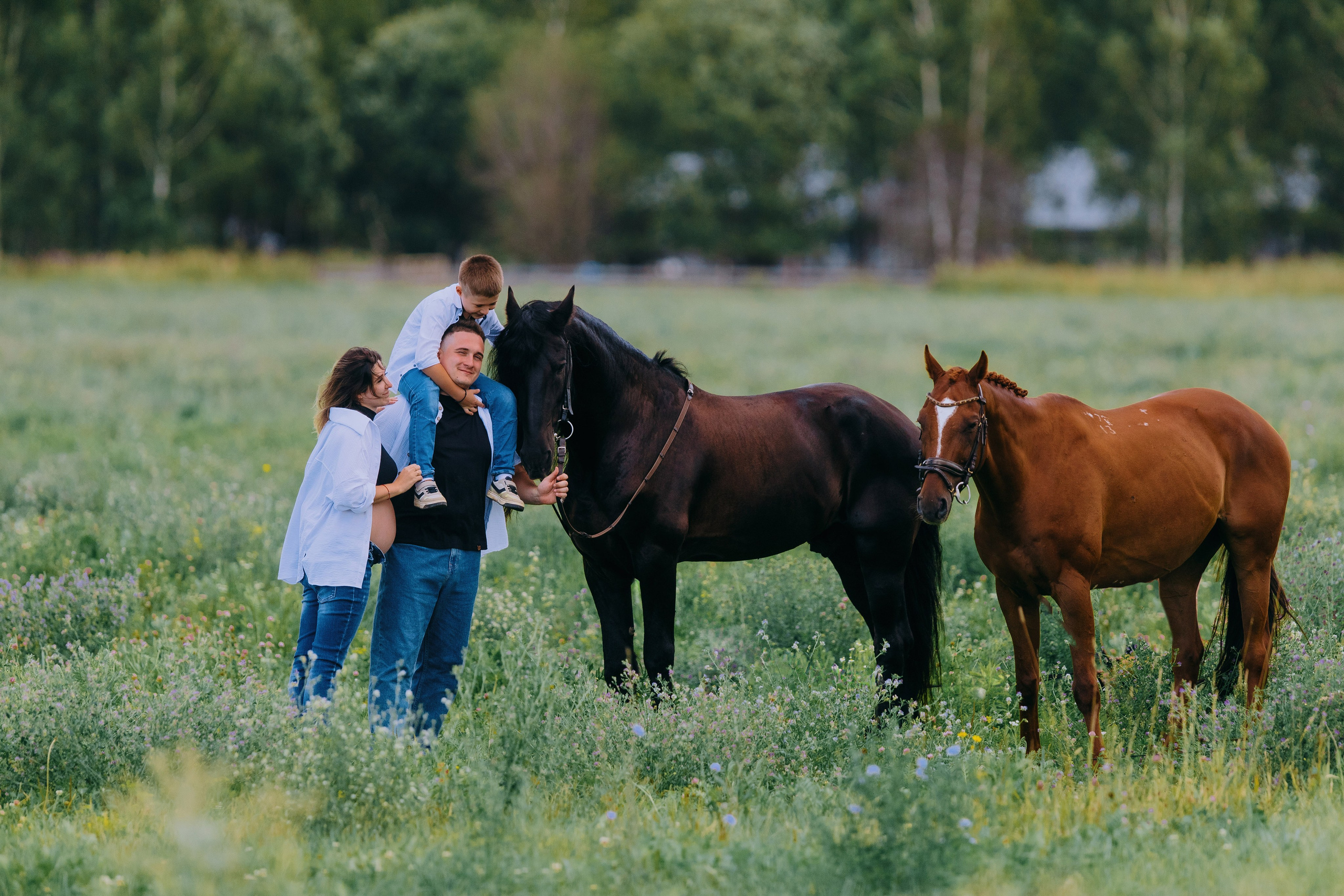 Лена, Серёжа, Петя и Брабус. Фотограф-анималист Ксендзова Кристина