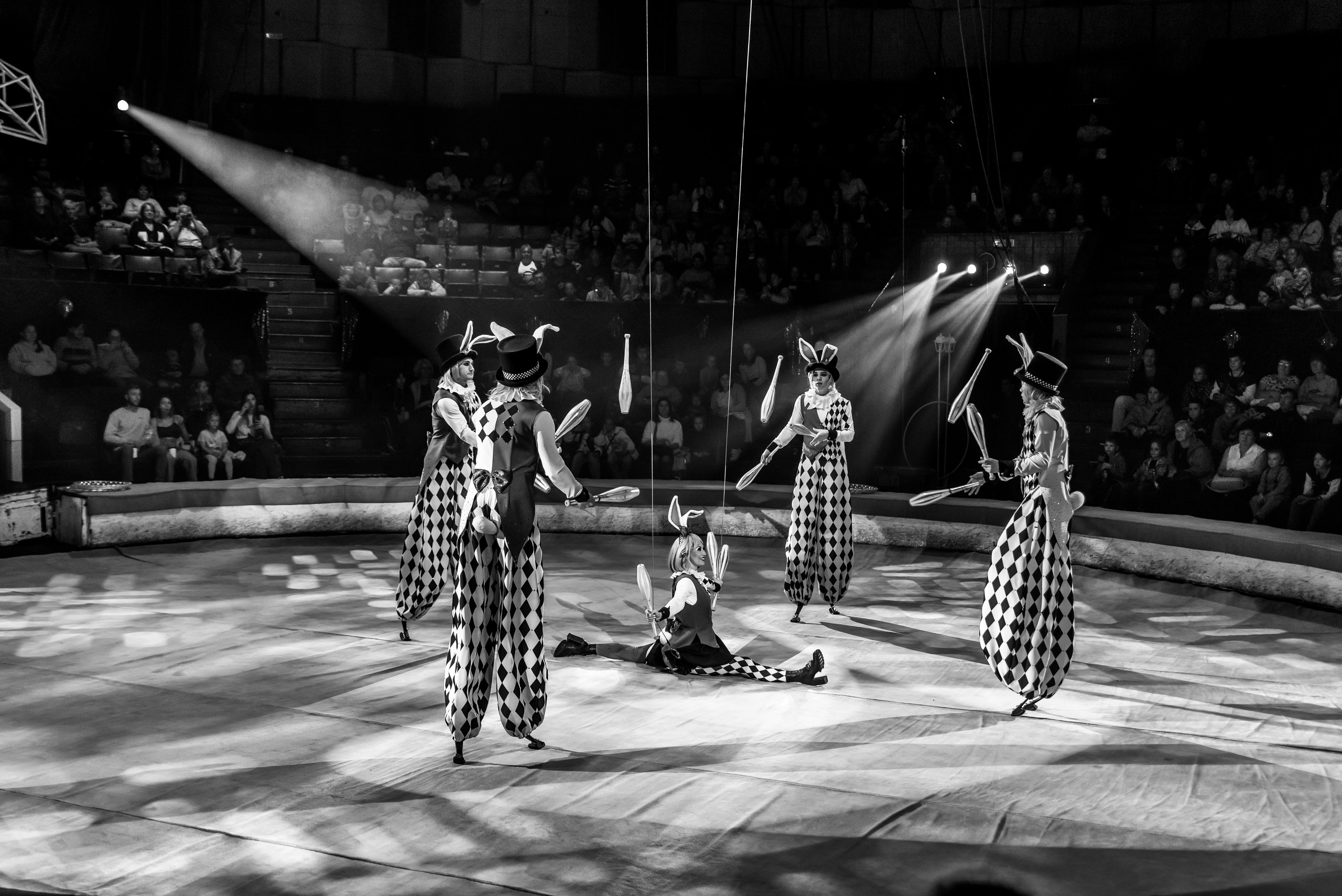 Пермский государственный цирк. Фотограф в Ханты-Мансийске Евгений Жуланов