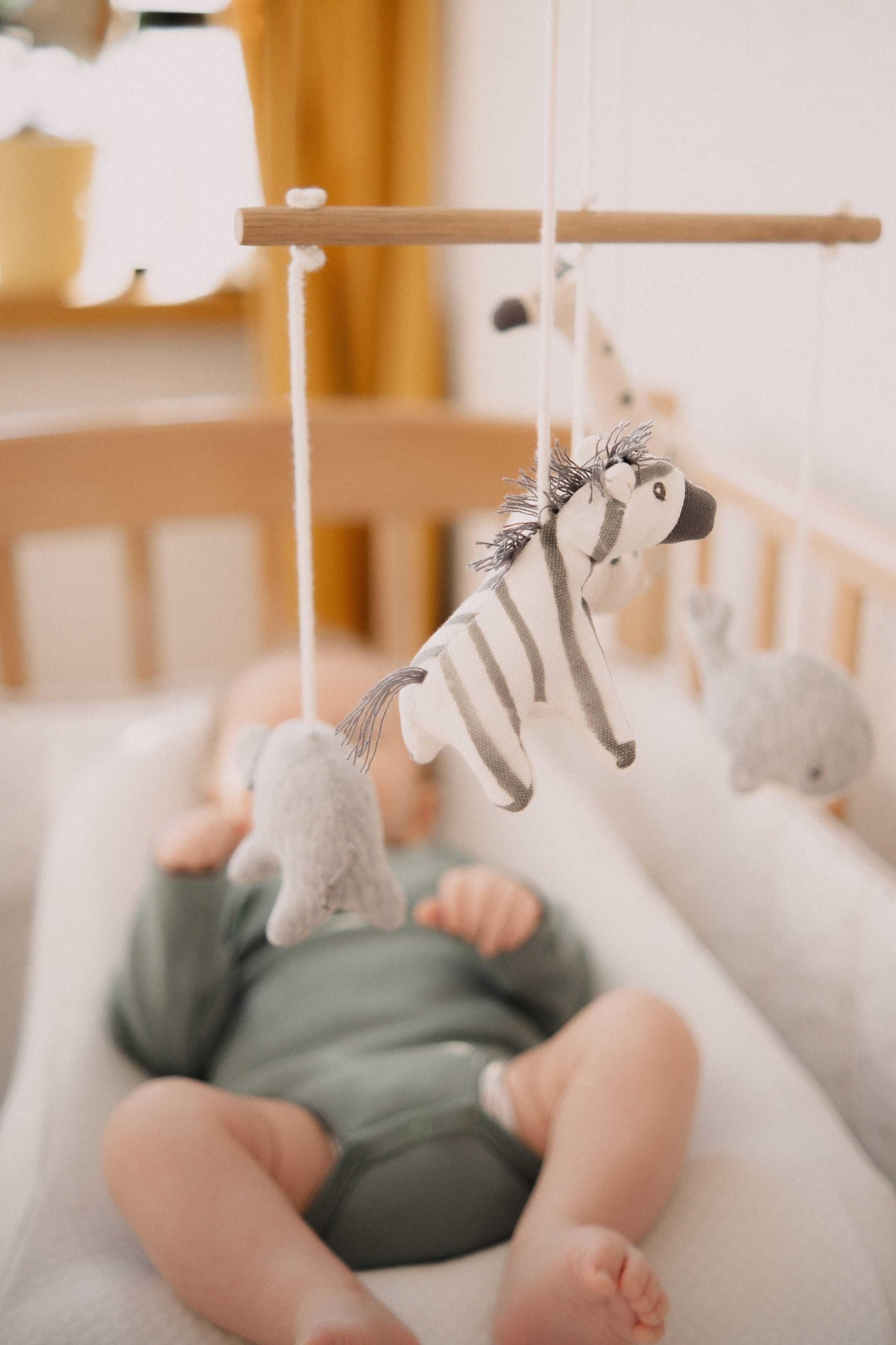 Лёвушка. Семейный фотограф Уфа Головченко Анастасия