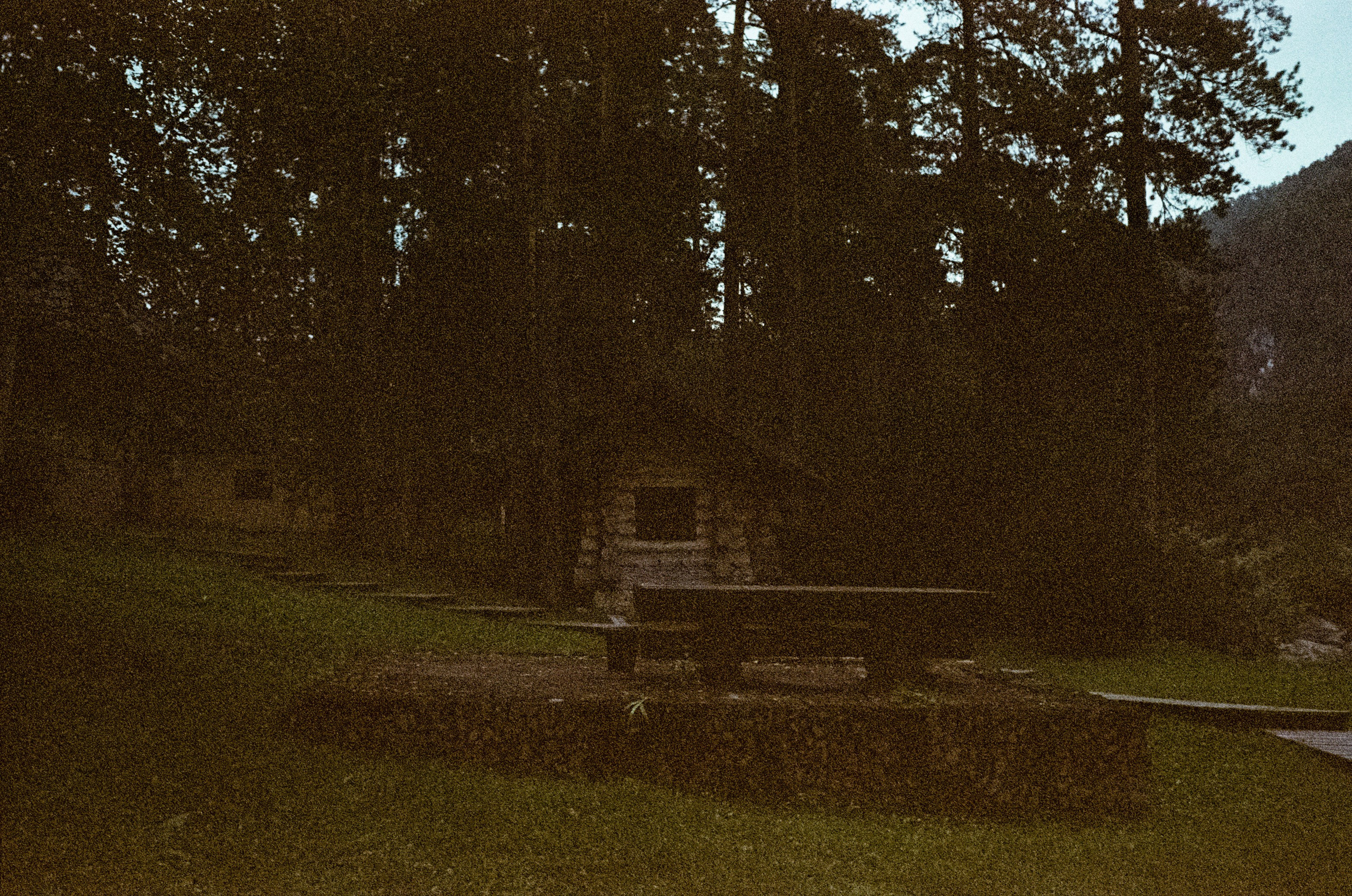 АЛТАЙ осень 2024 / Minox 35 GT (2) / Kodak Ultra Gold 400 24К (просрочка)