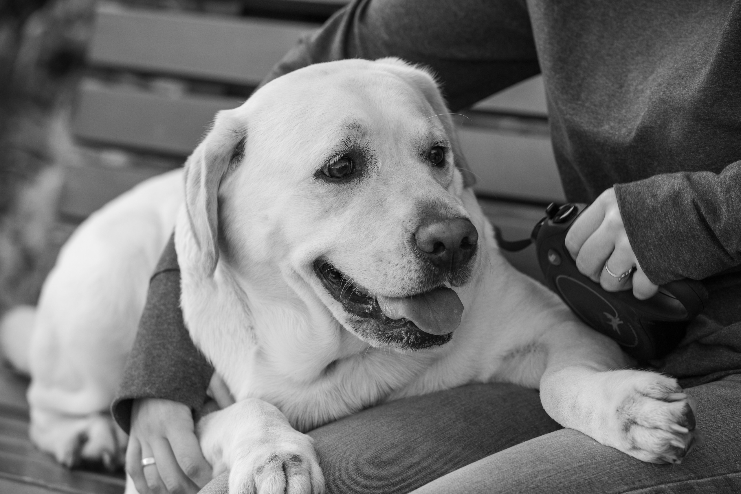 Анастасия. Фотограф Саратов Юлия Петрова