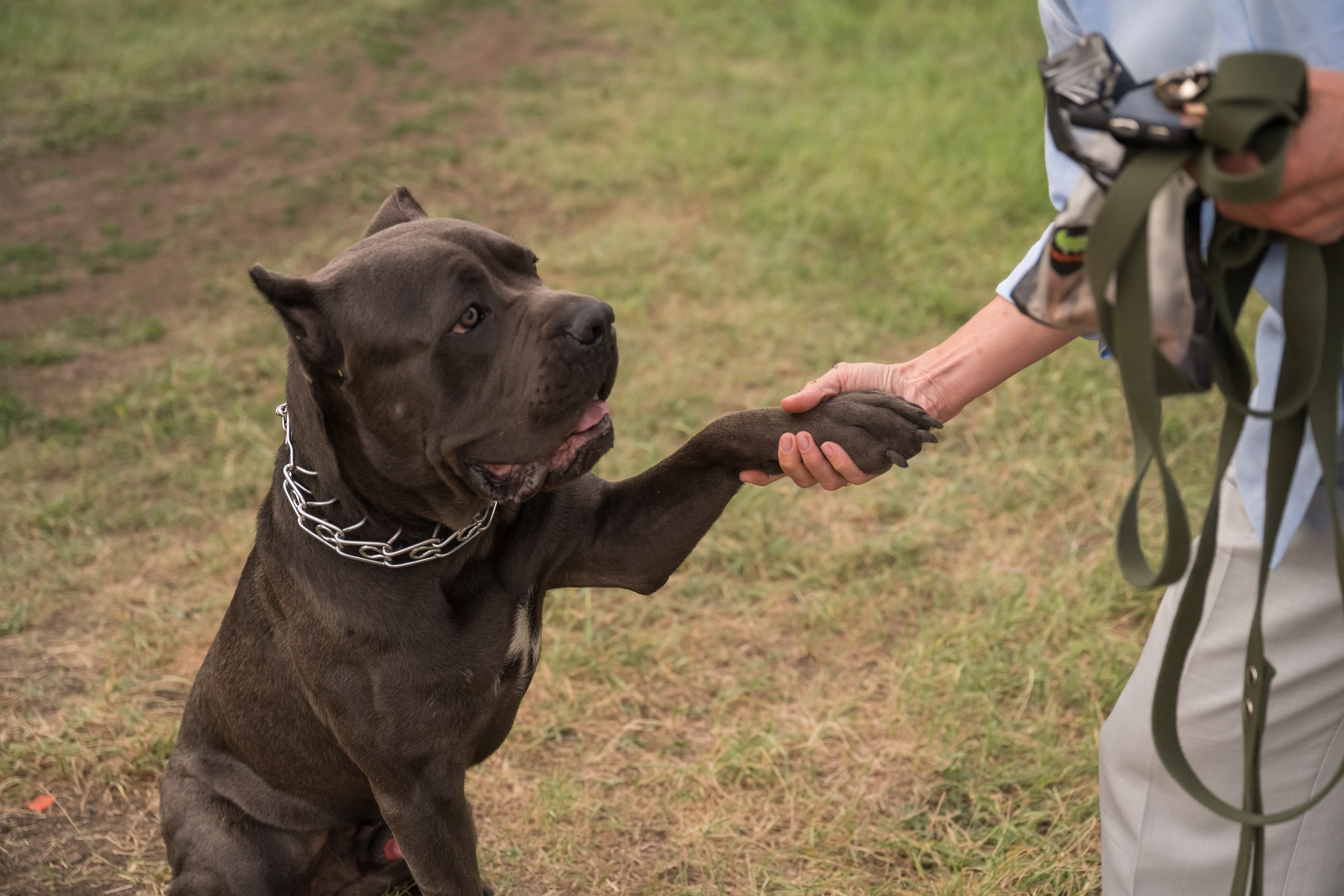 Дина, Яна и Лео. Фотограф Саратов Юлия Петрова