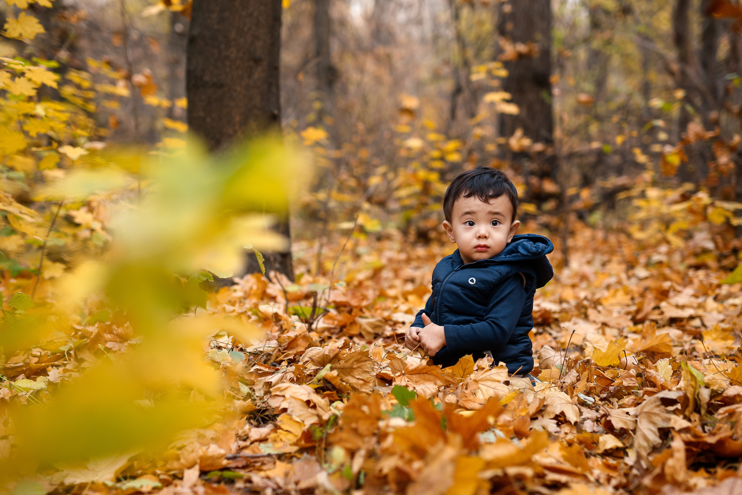 Роща Баума. Осенняя фотопрогулка. Отбасылық фотограф Алена Шаталова