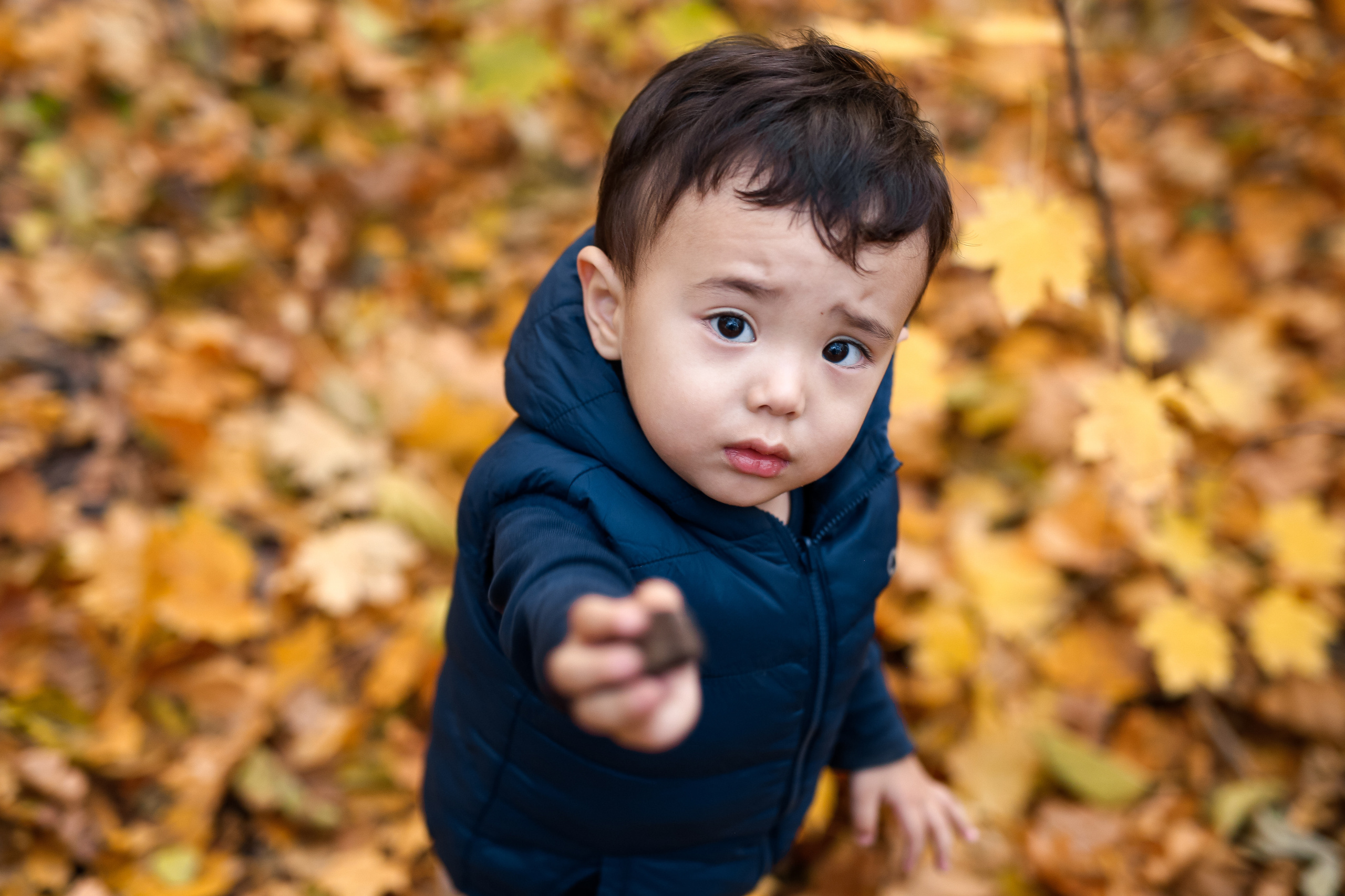 Роща Баума. Осенняя фотопрогулка. Отбасылық фотограф Алена Шаталова