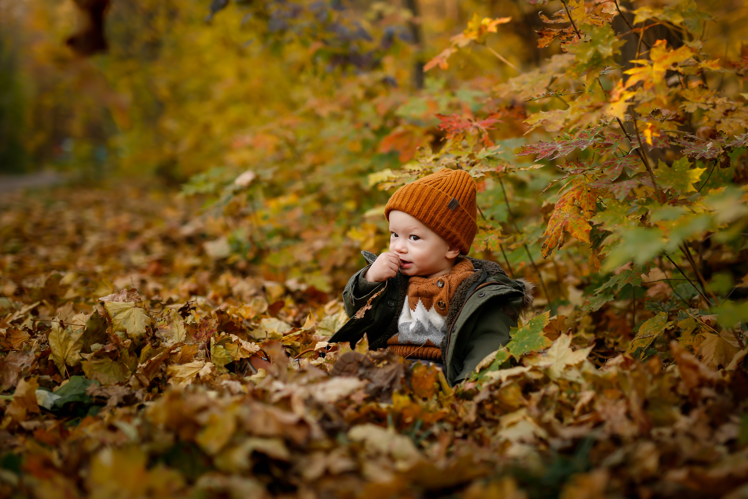 Роща Баума. Семейная фотопрогулка. Отбасылық фотограф Алена Шаталова