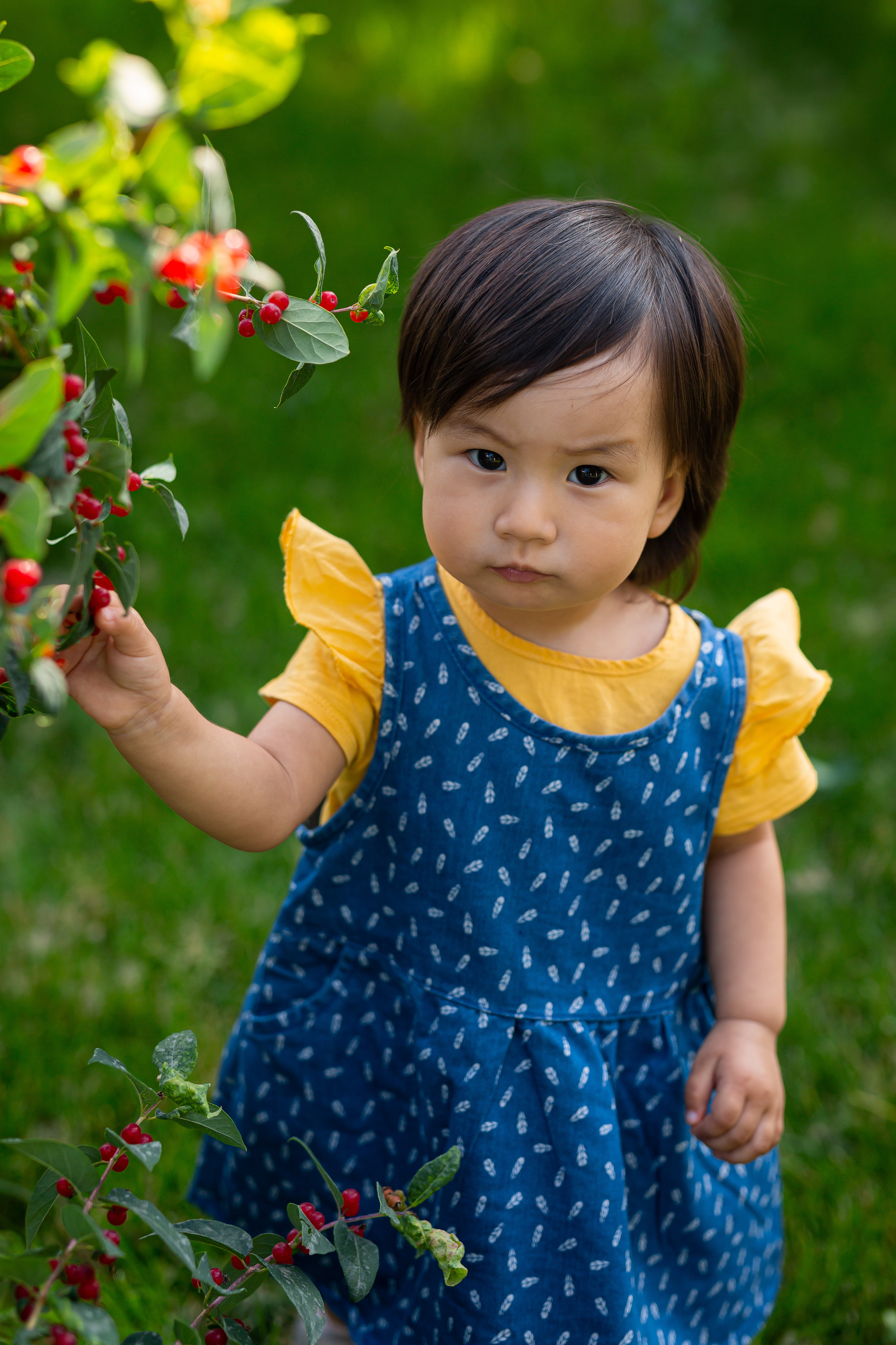 Ботанический сад. Осенняя фотопрогулка. Отбасылық фотограф Алена Шаталова