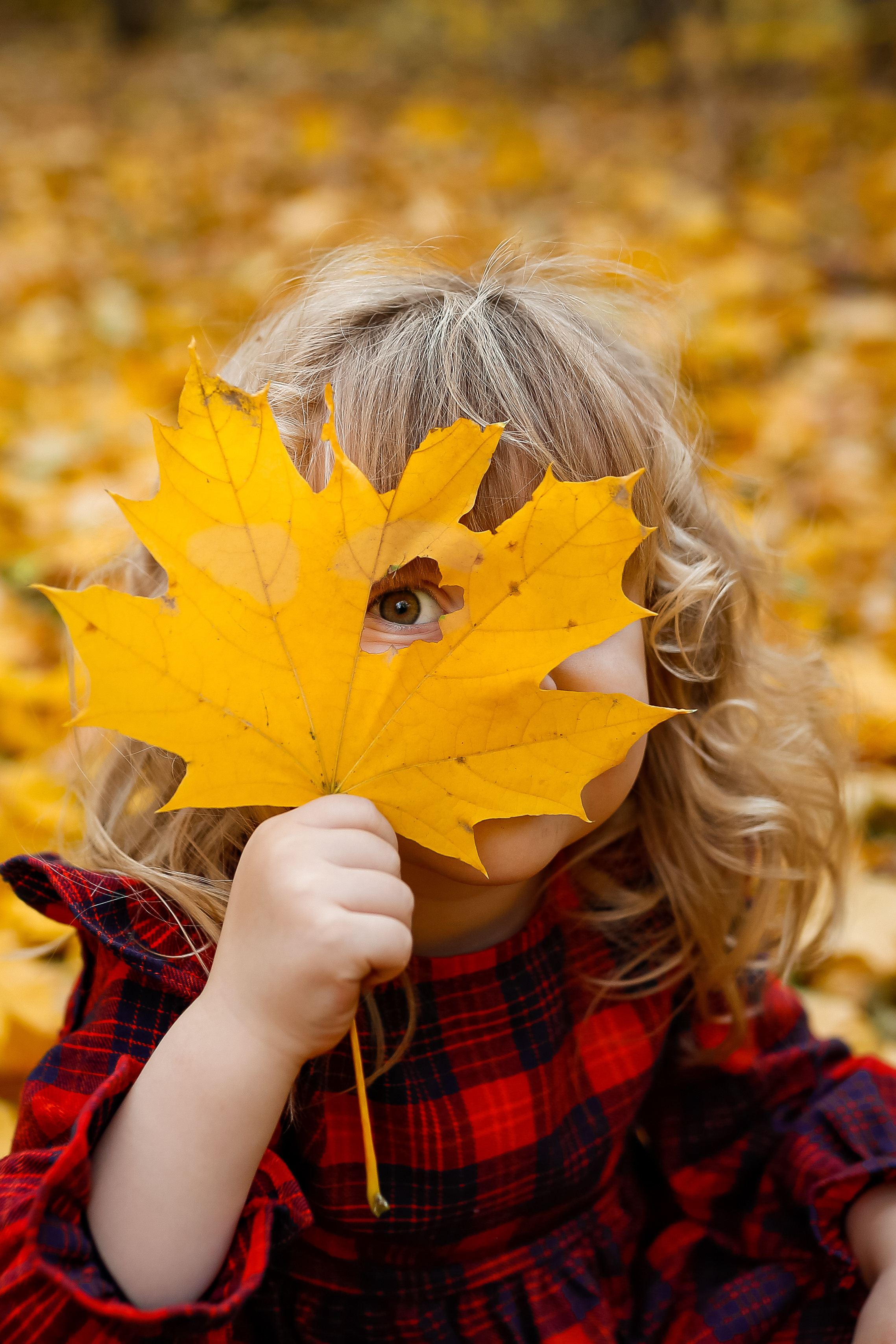 Роща Баума. Осенняя фотопрогулка. Отбасылық фотограф Алена Шаталова