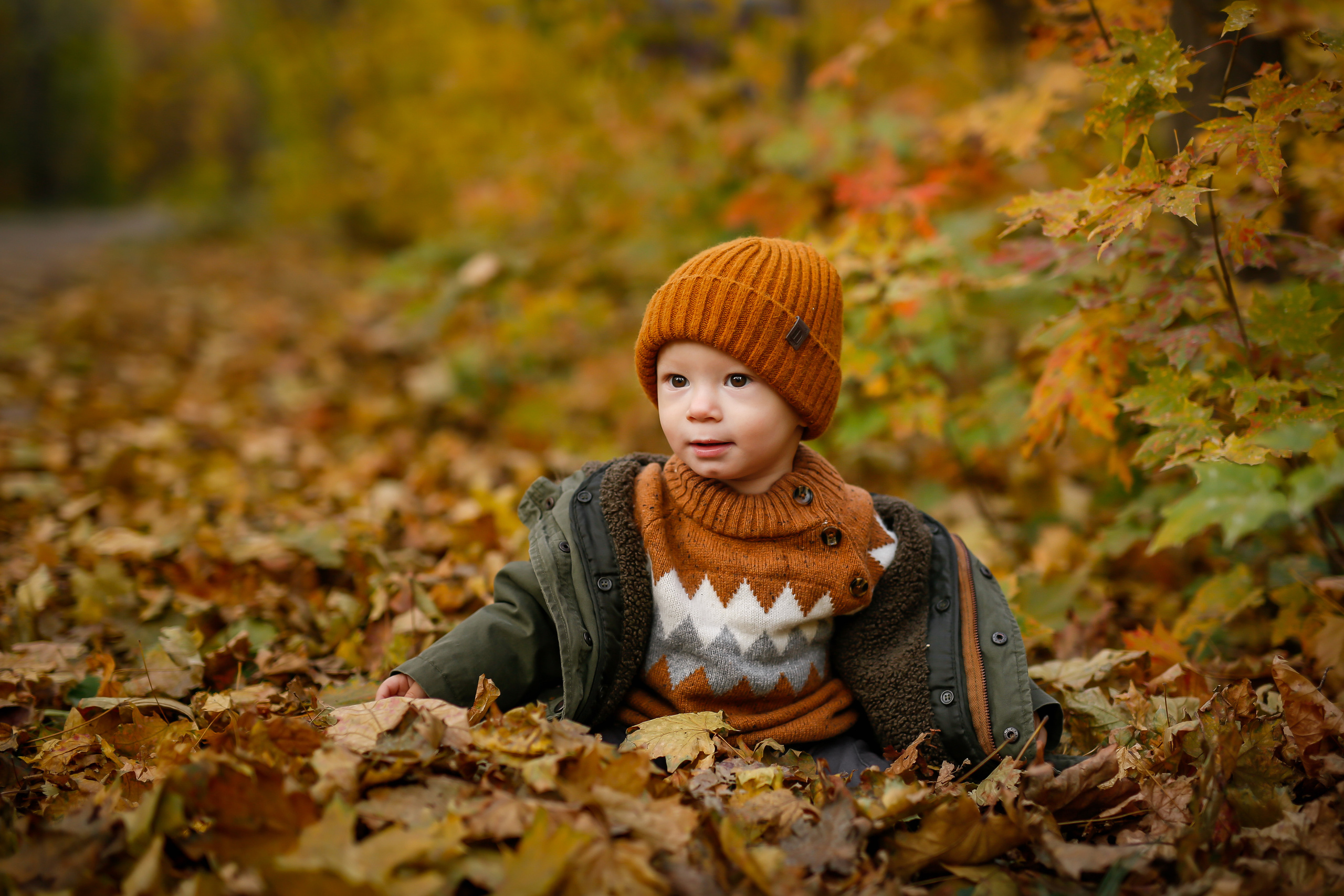 Роща Баума. Семейная фотопрогулка. Отбасылық фотограф Алена Шаталова
