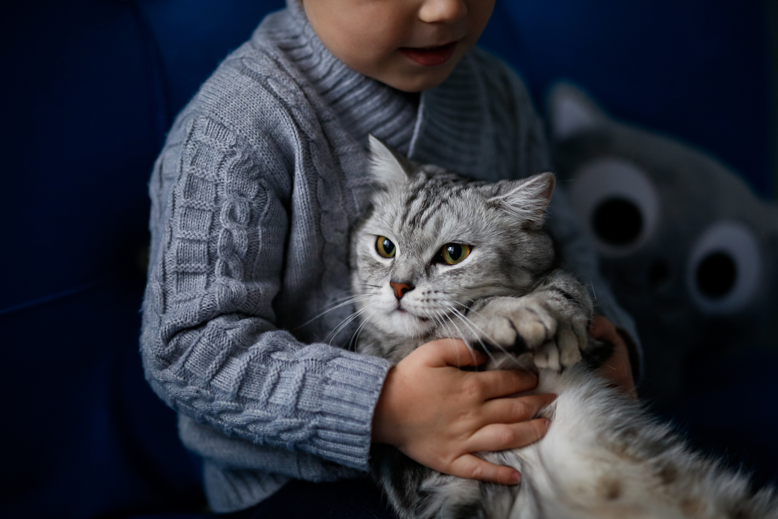 Сказки. Домашний фотосет. Семейный фотограф Алёна Шаталова