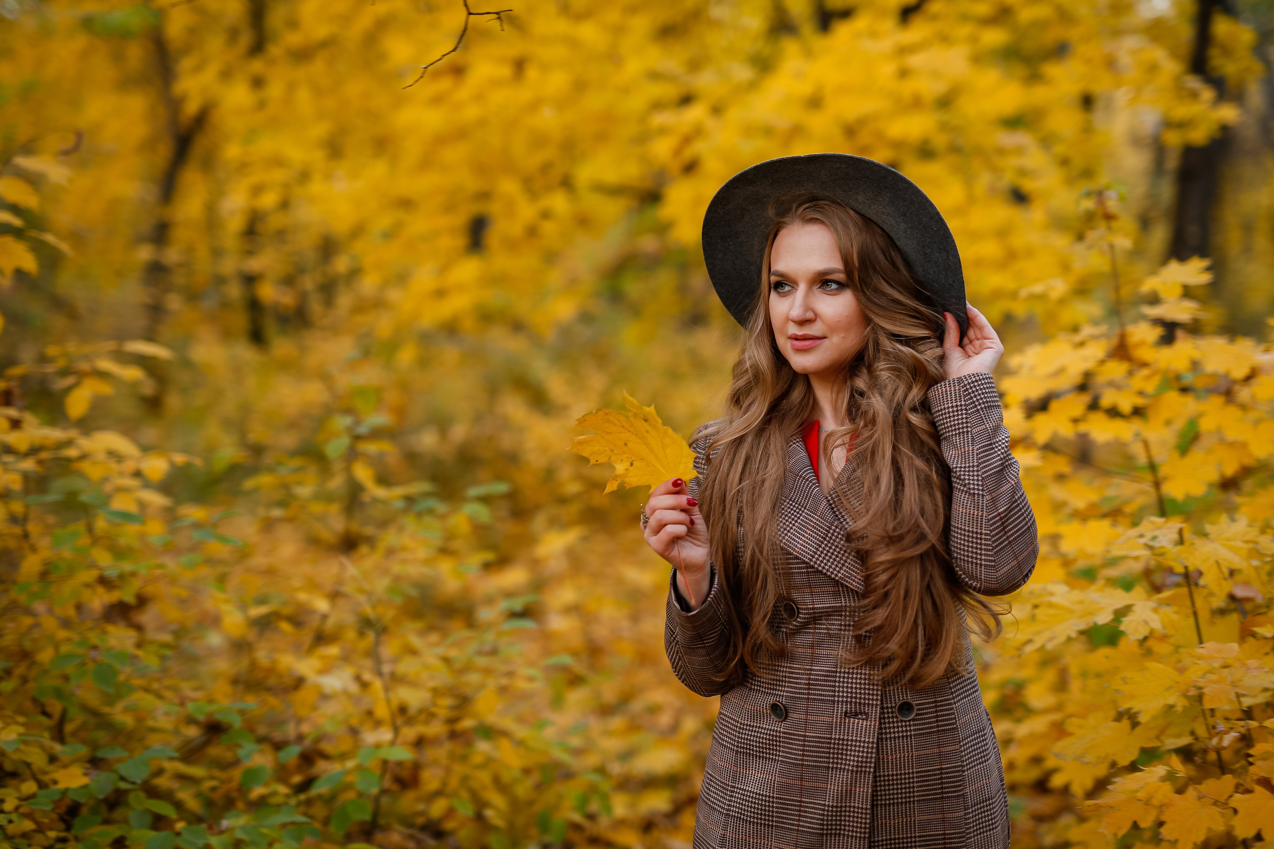 Роща Баума. Осенняя фотопрогулка. Отбасылық фотограф Алена Шаталова