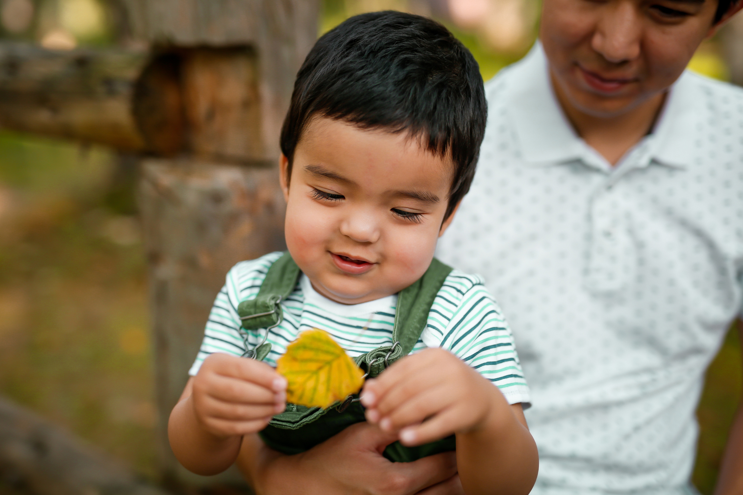 Ак-кайын. Осенняя фотопрогулка. Отбасылық фотограф Алена Шаталова